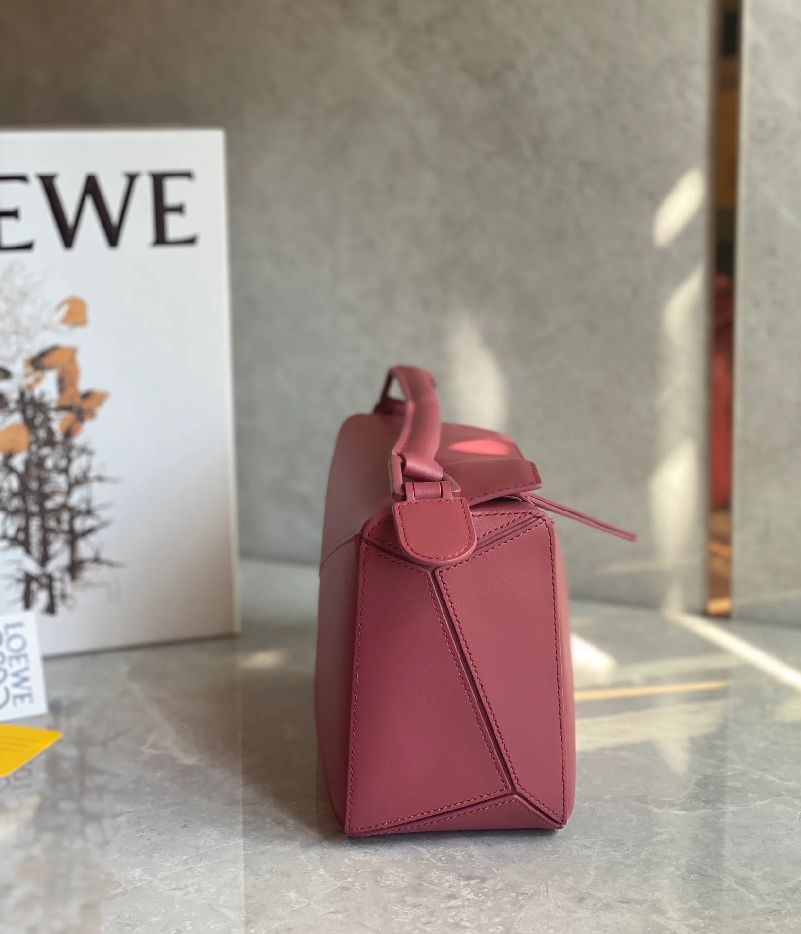 Классические Сумки Женские Loewe 10986849