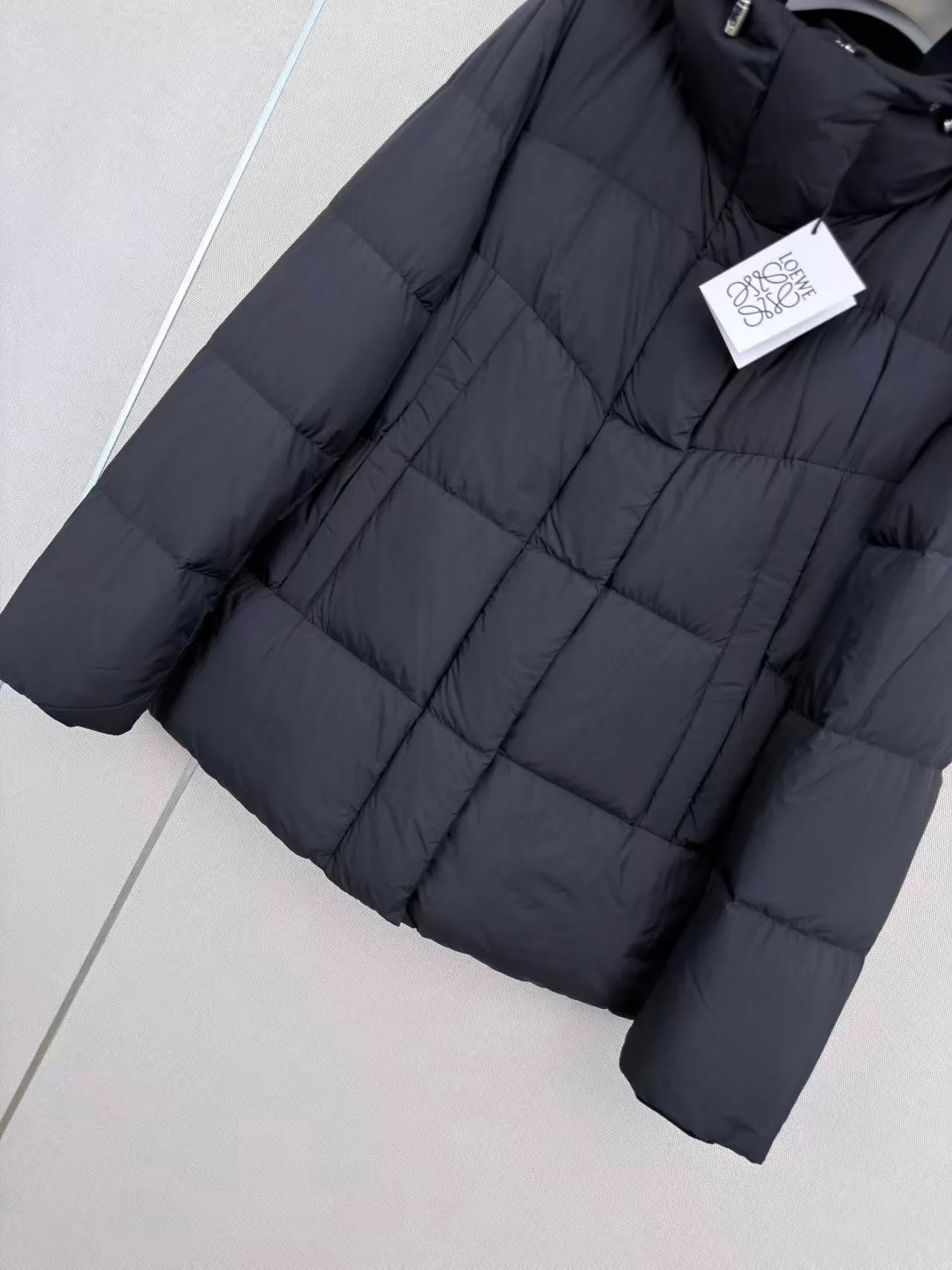Куртки И Пуховики Женские Loewe 18108397