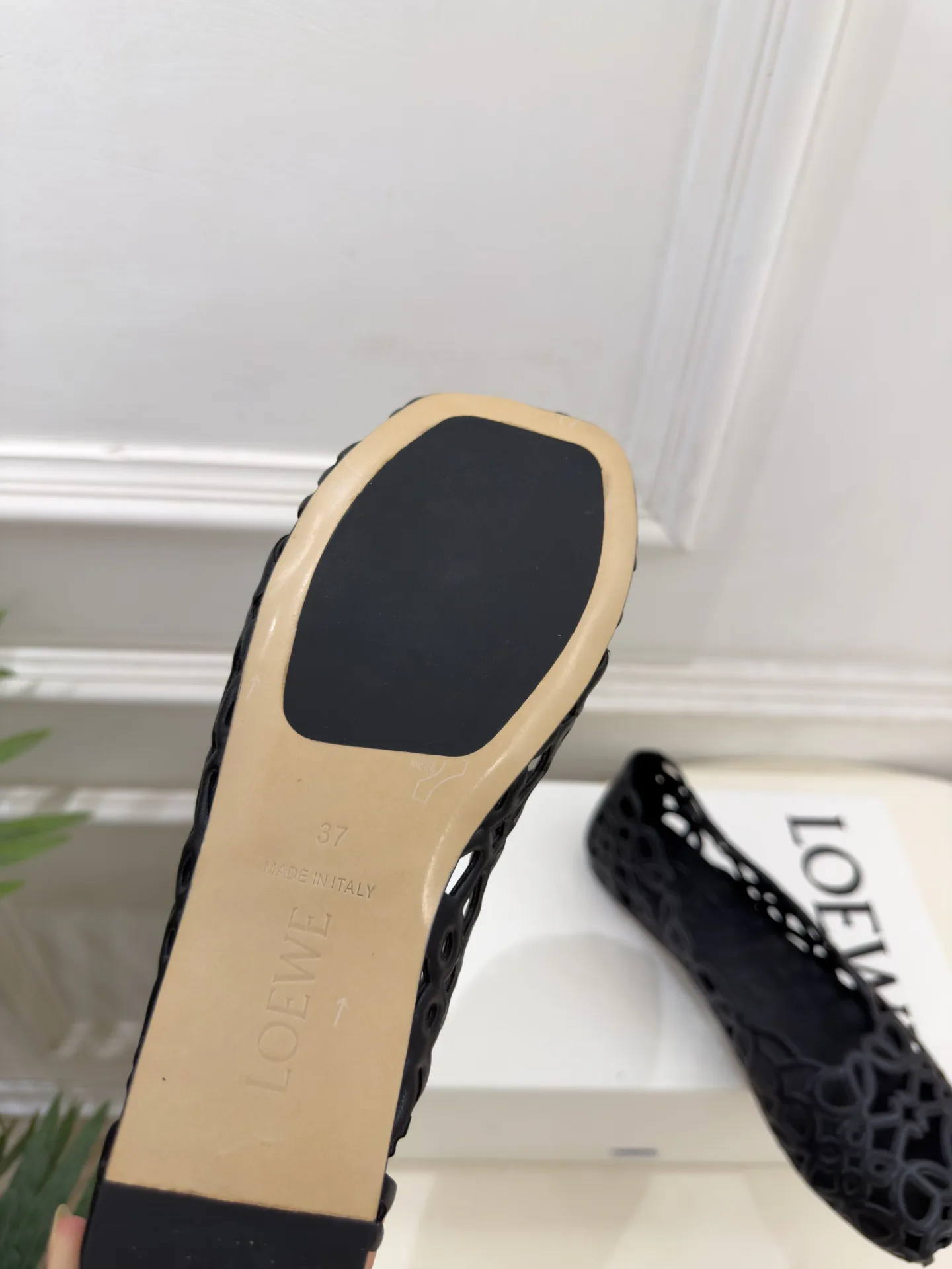 Балетки Женские Loewe 18198366