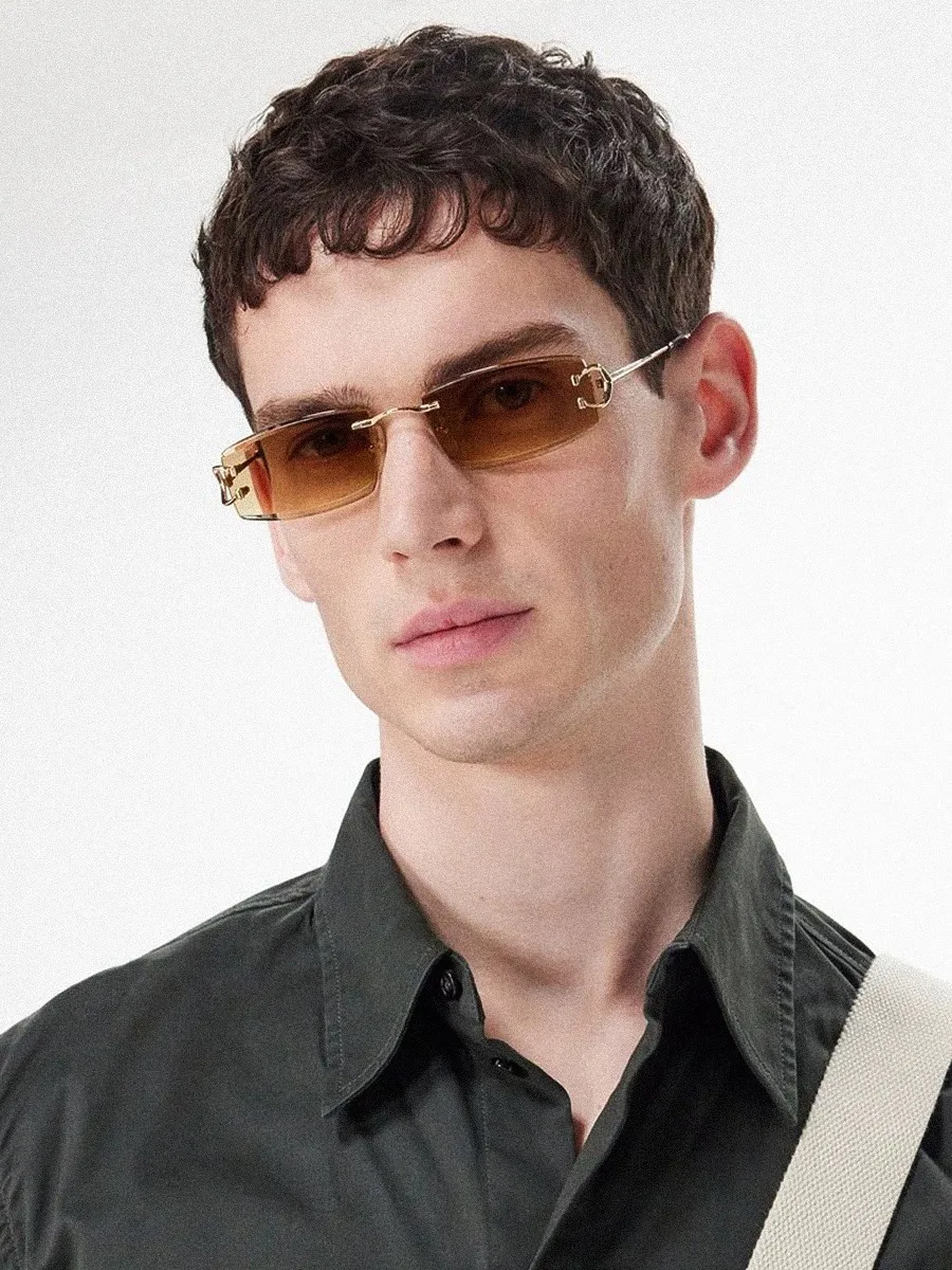 Очки Cartier 4508