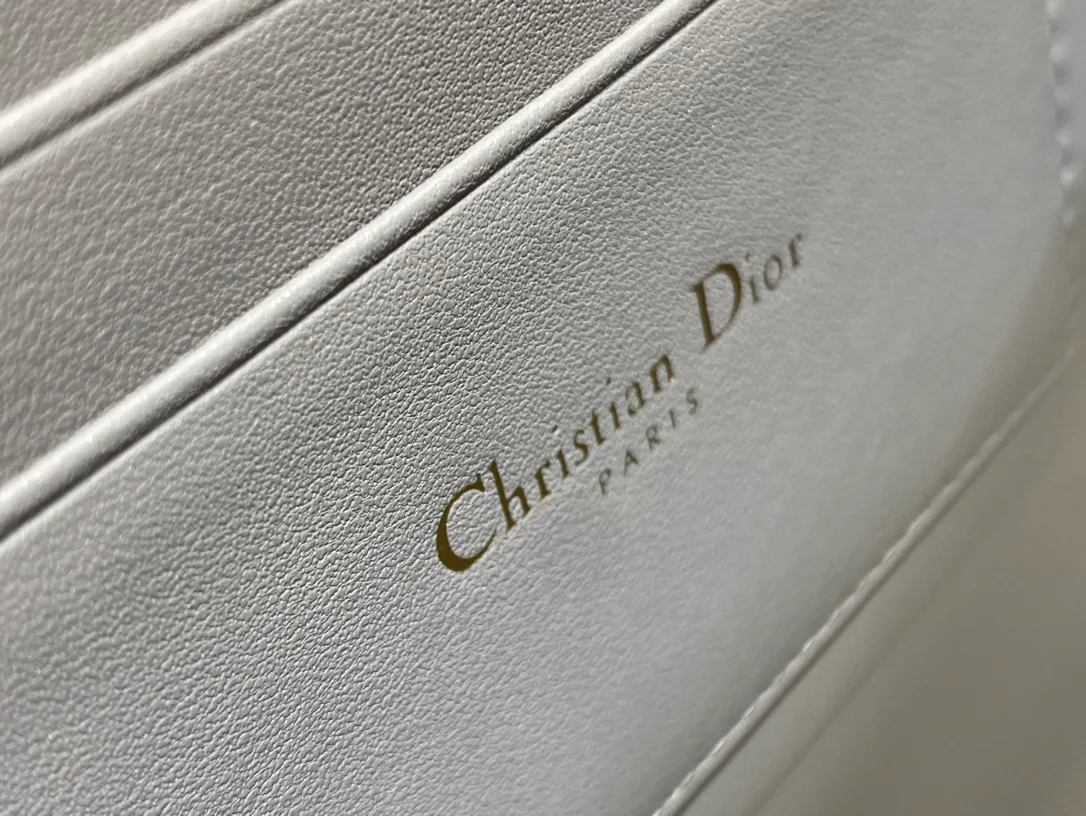 Сумки На Ремне Женские Christian Dior 167489