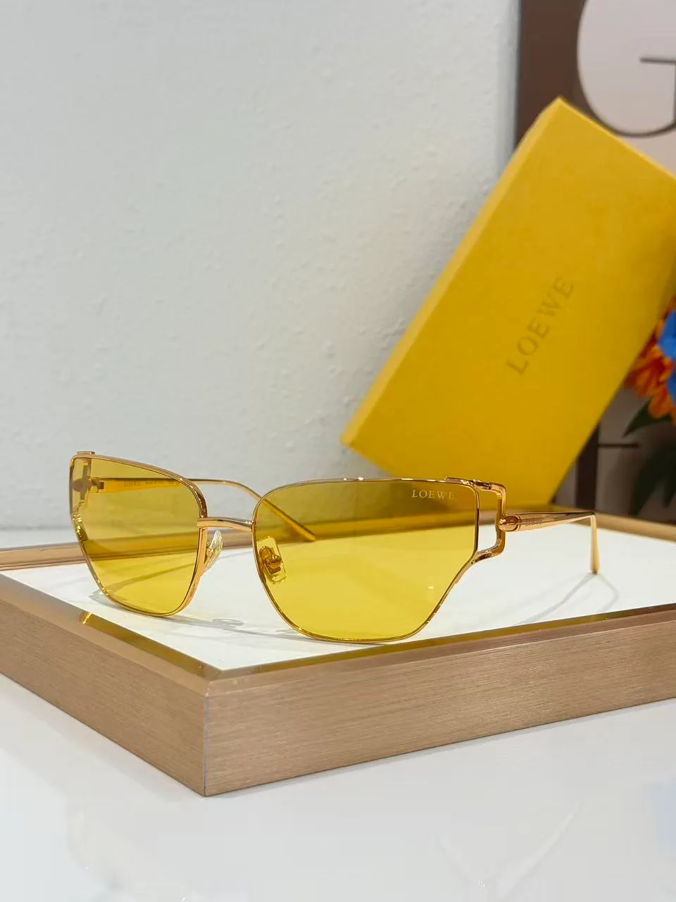 Очки Loewe 18226201
