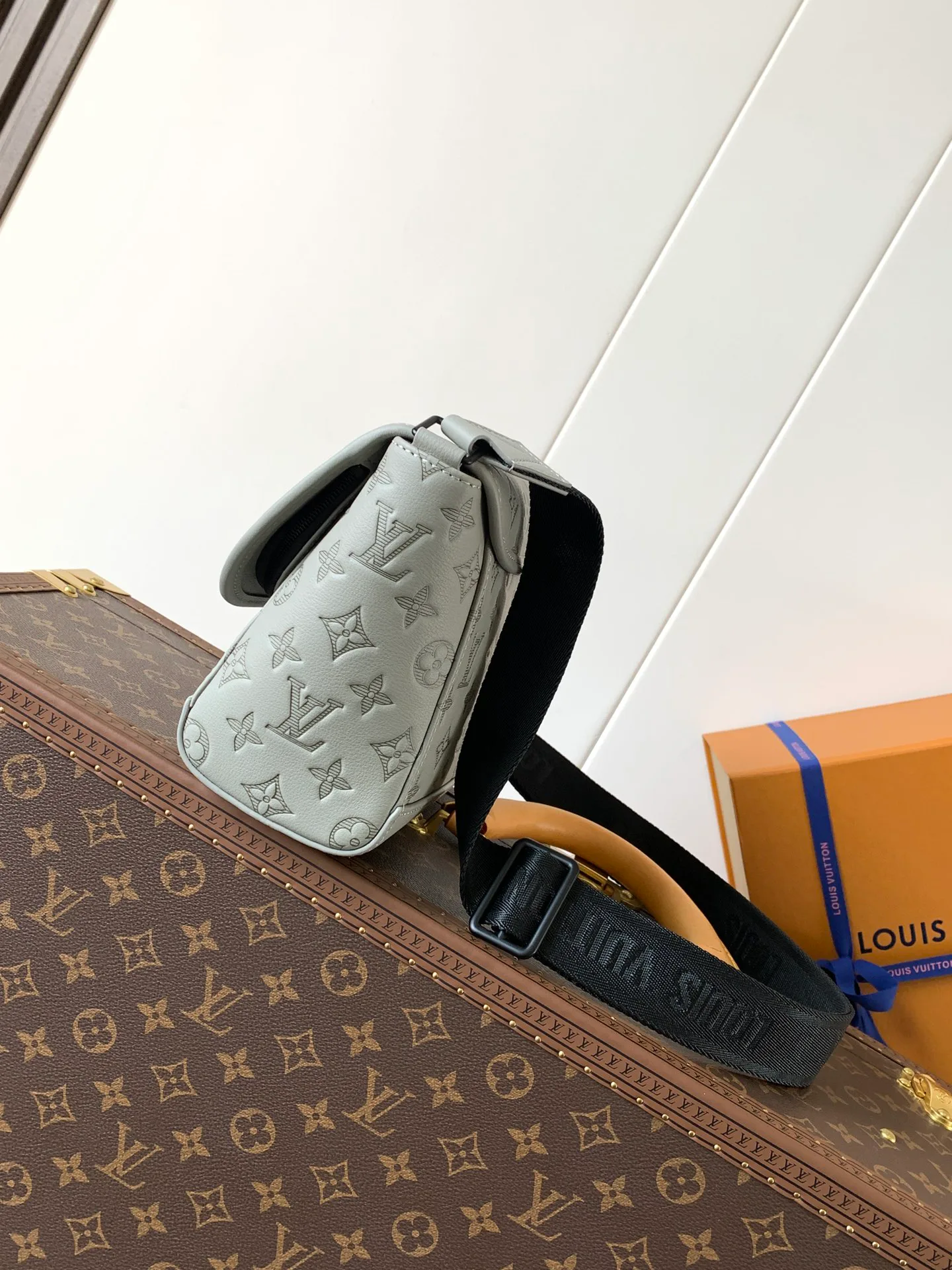 Сумки На Ремне Женские Louis Vuitton 13435237