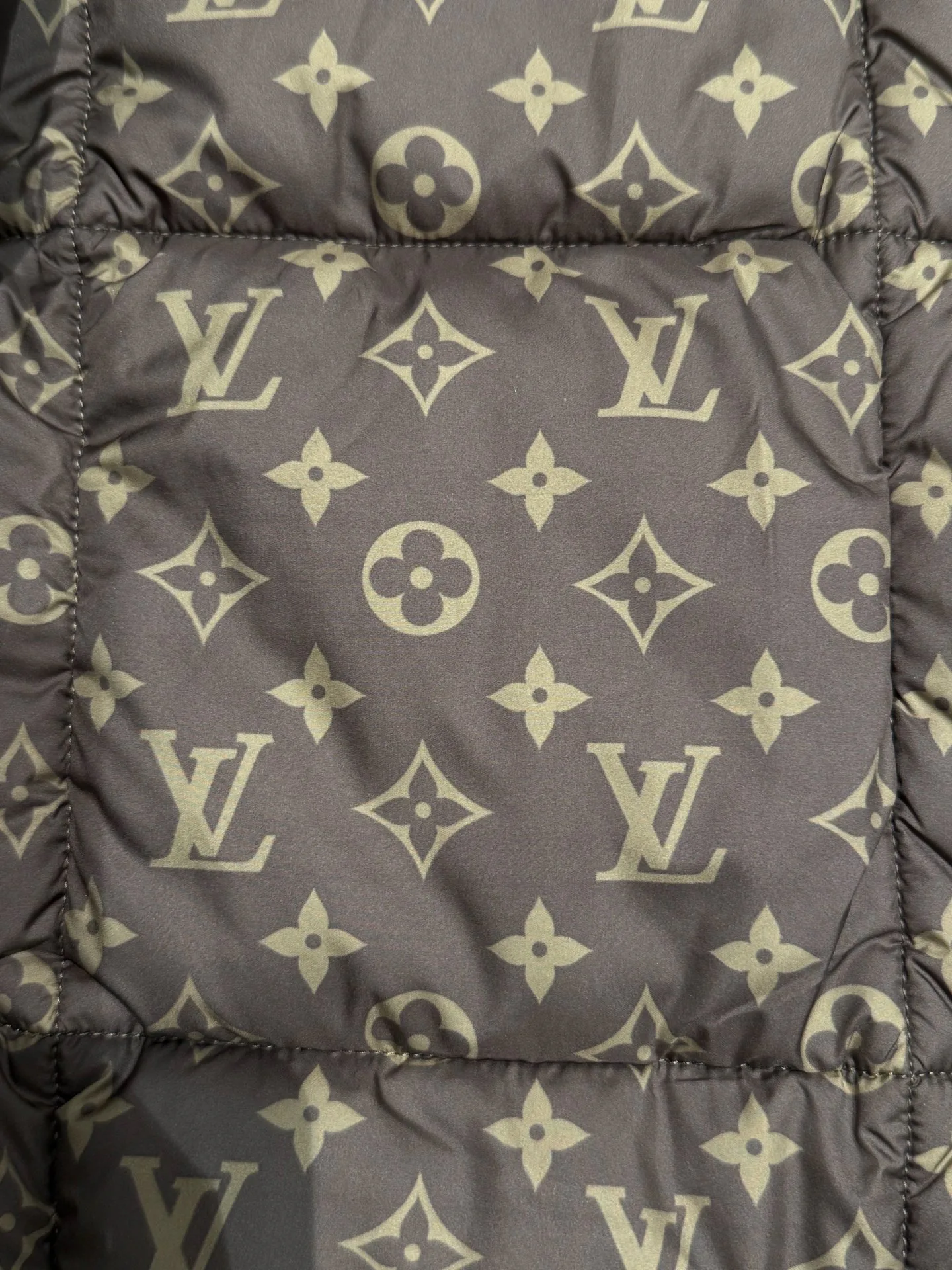 Куртки И Пуховики Мужские Louis Vuitton 608627