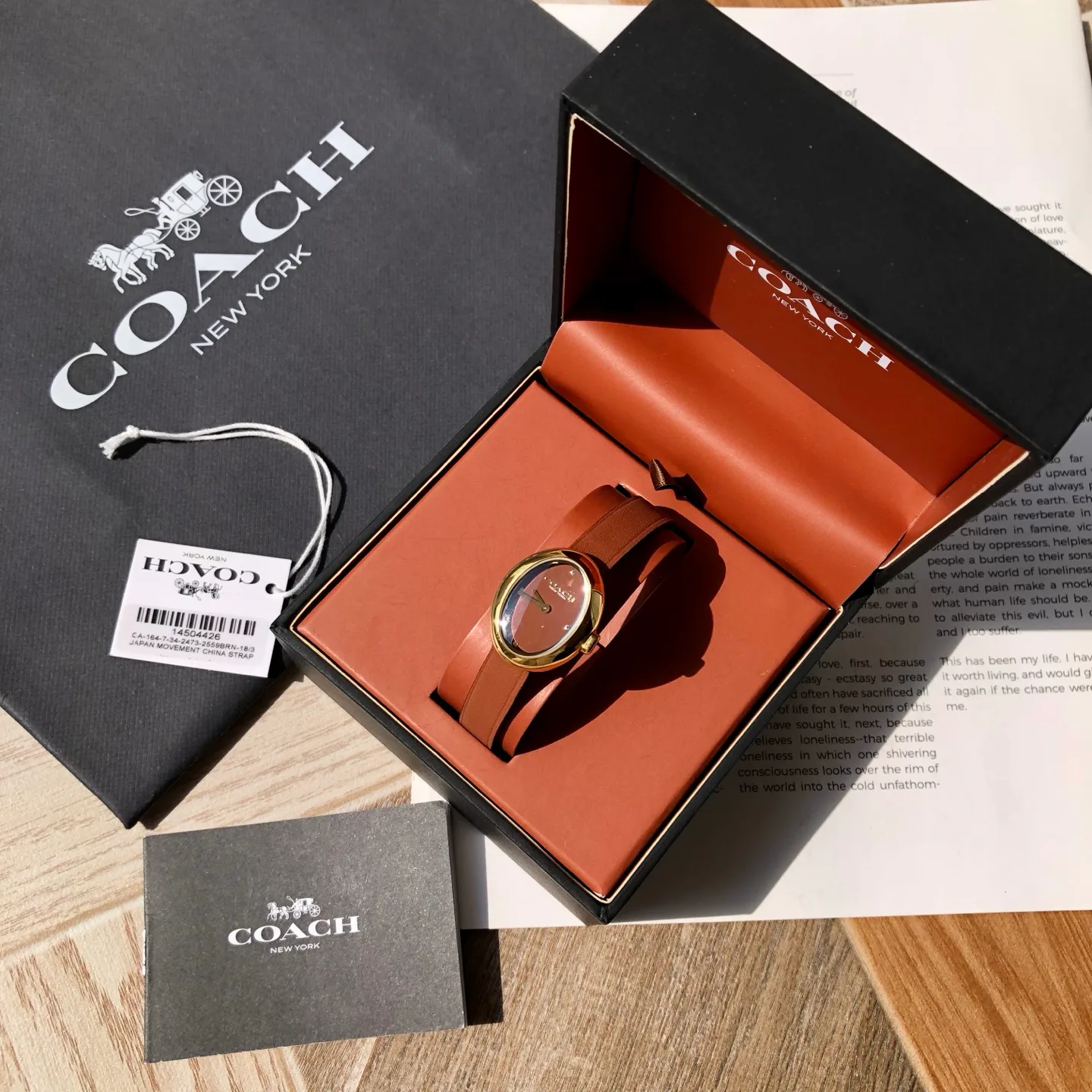 Часы Женские Coach 449052