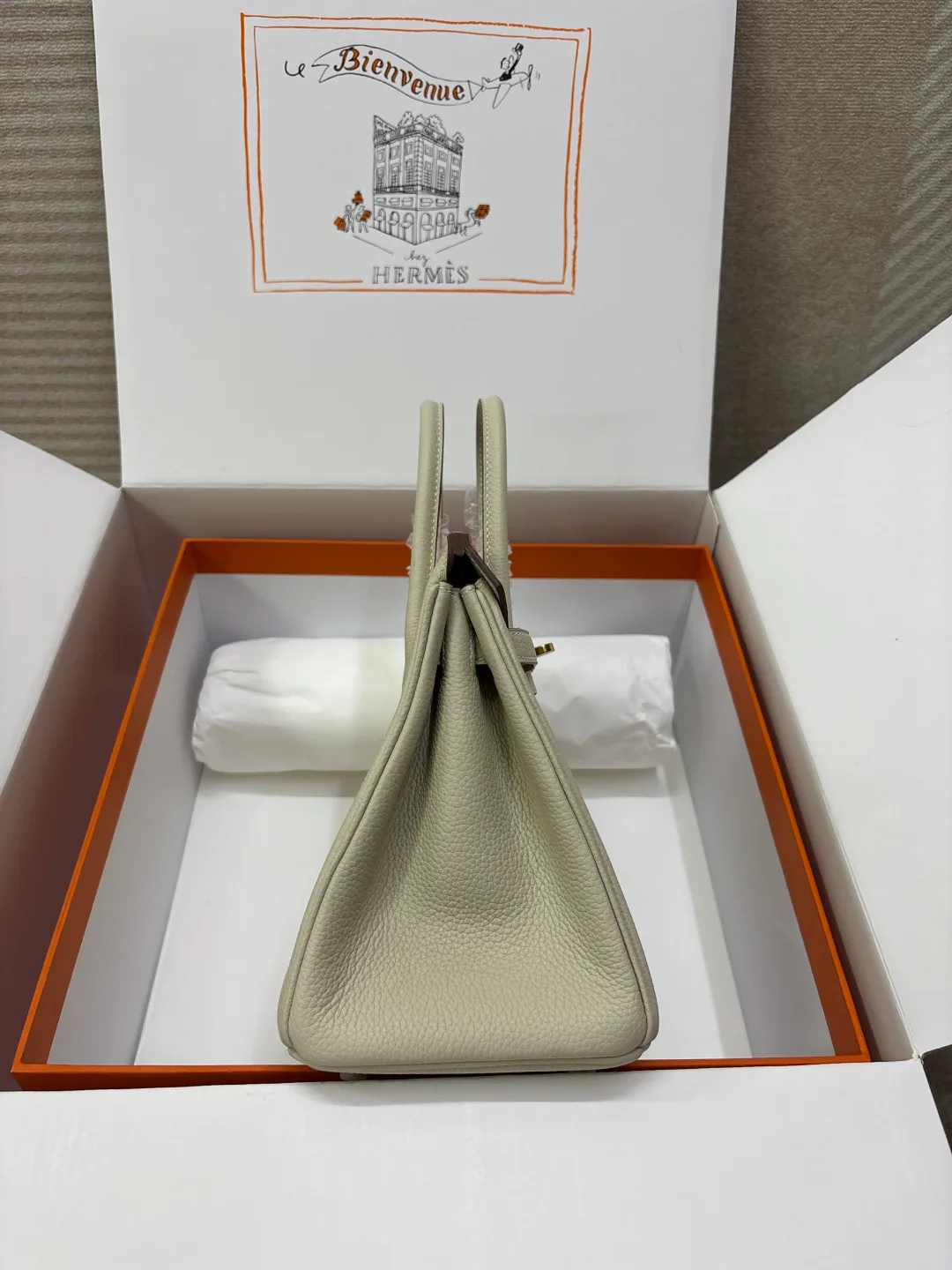 Классические Сумки Женские Hermes 17520168