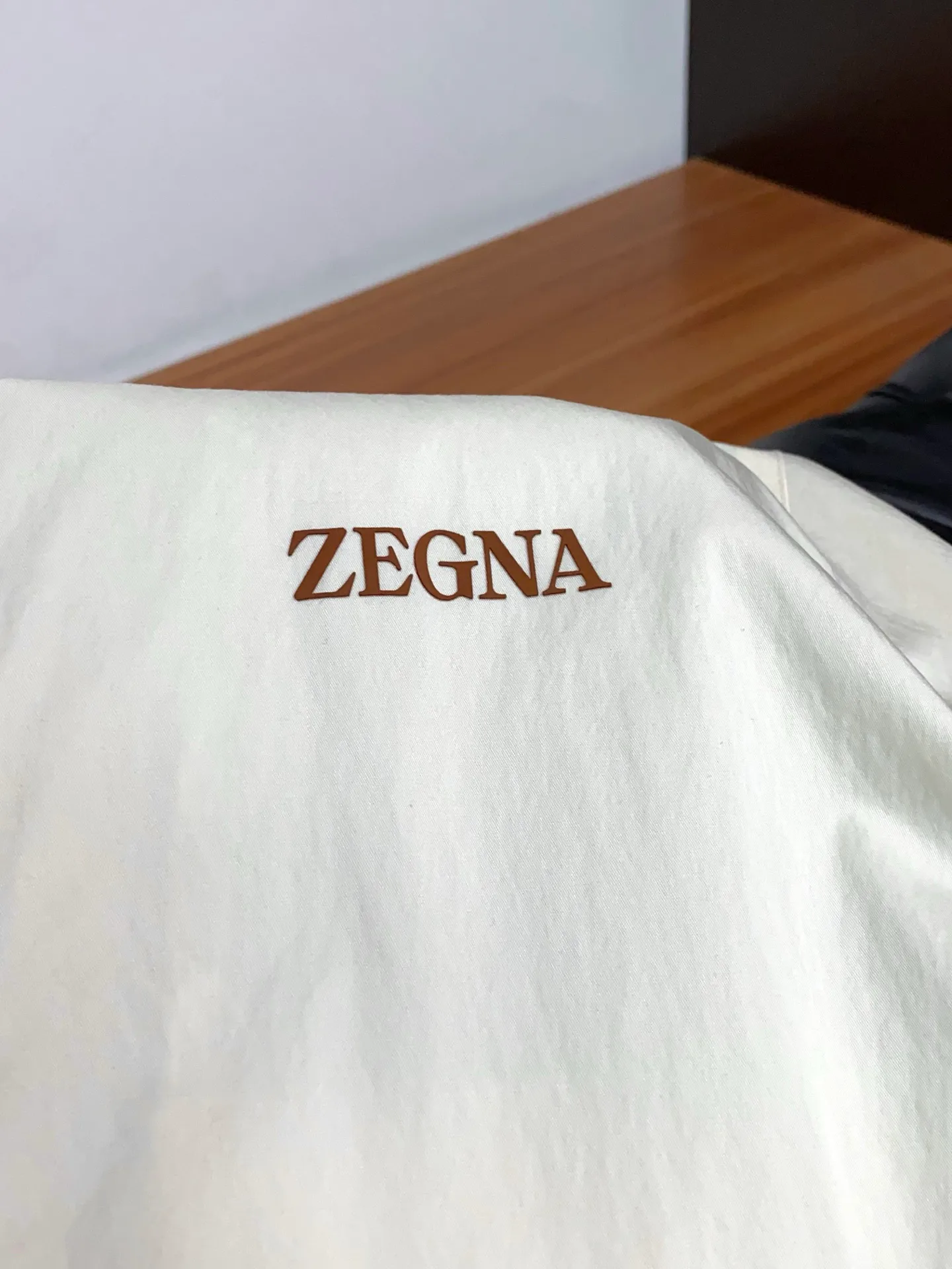 Куртки И Пуховики Мужские Zegna 11684048