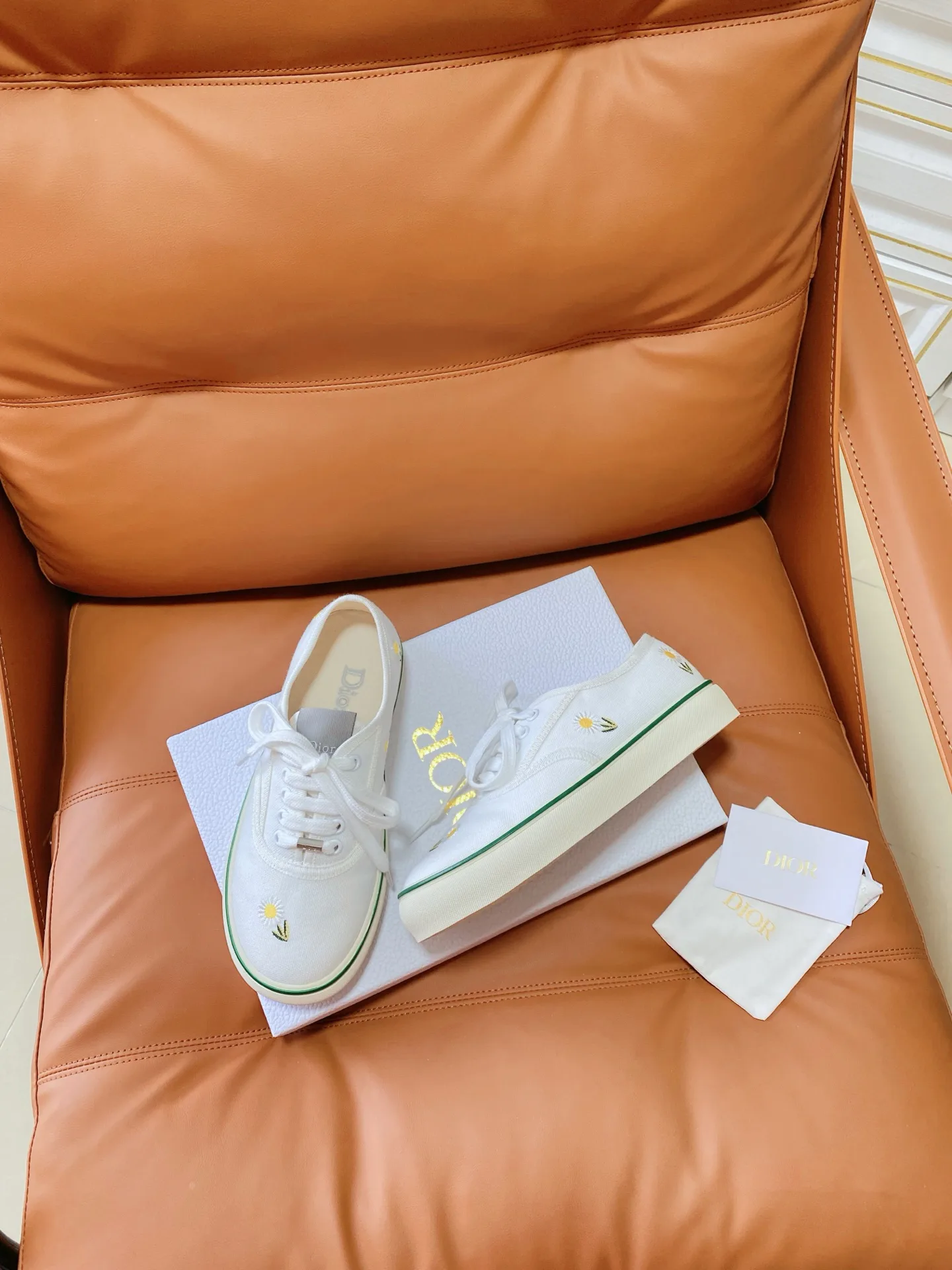 Кеды Женские Christian Dior 11203852