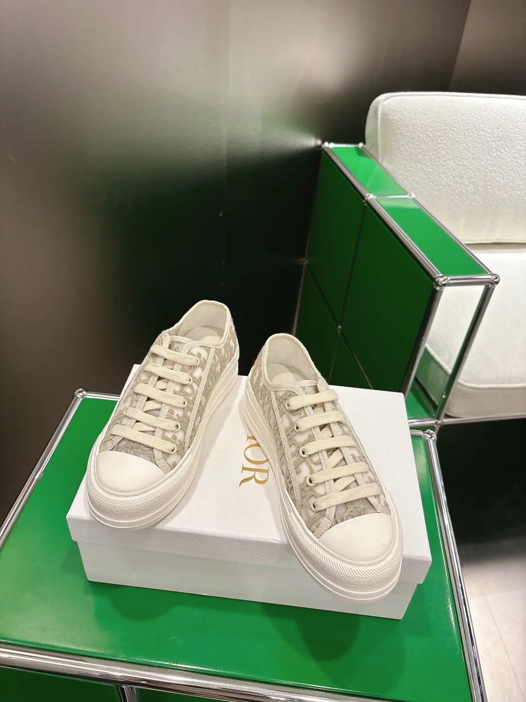 Кроссовки Женские Christian Dior 13152771