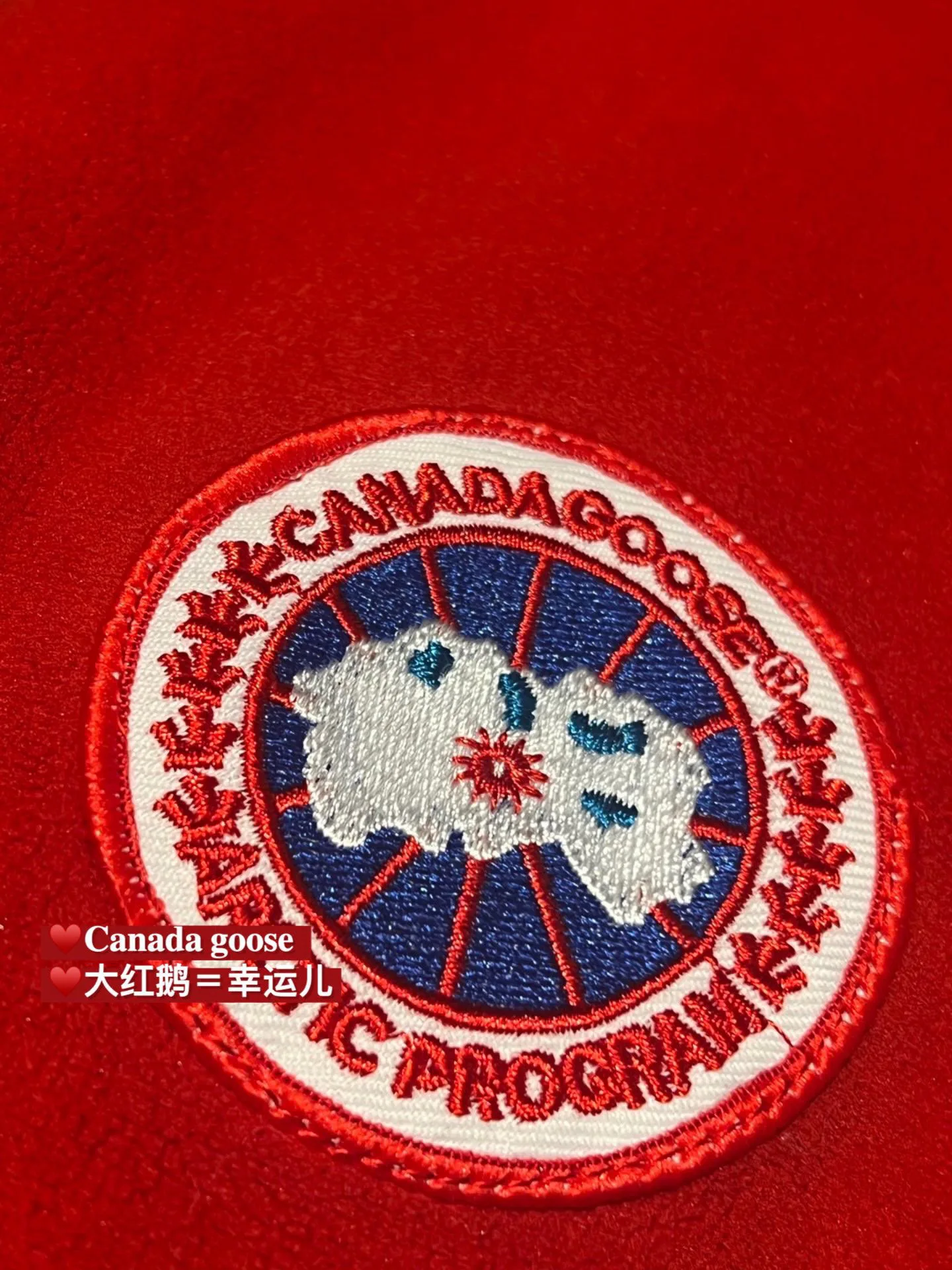 Свитшоты И Худи Женские Canada Goose 18767851