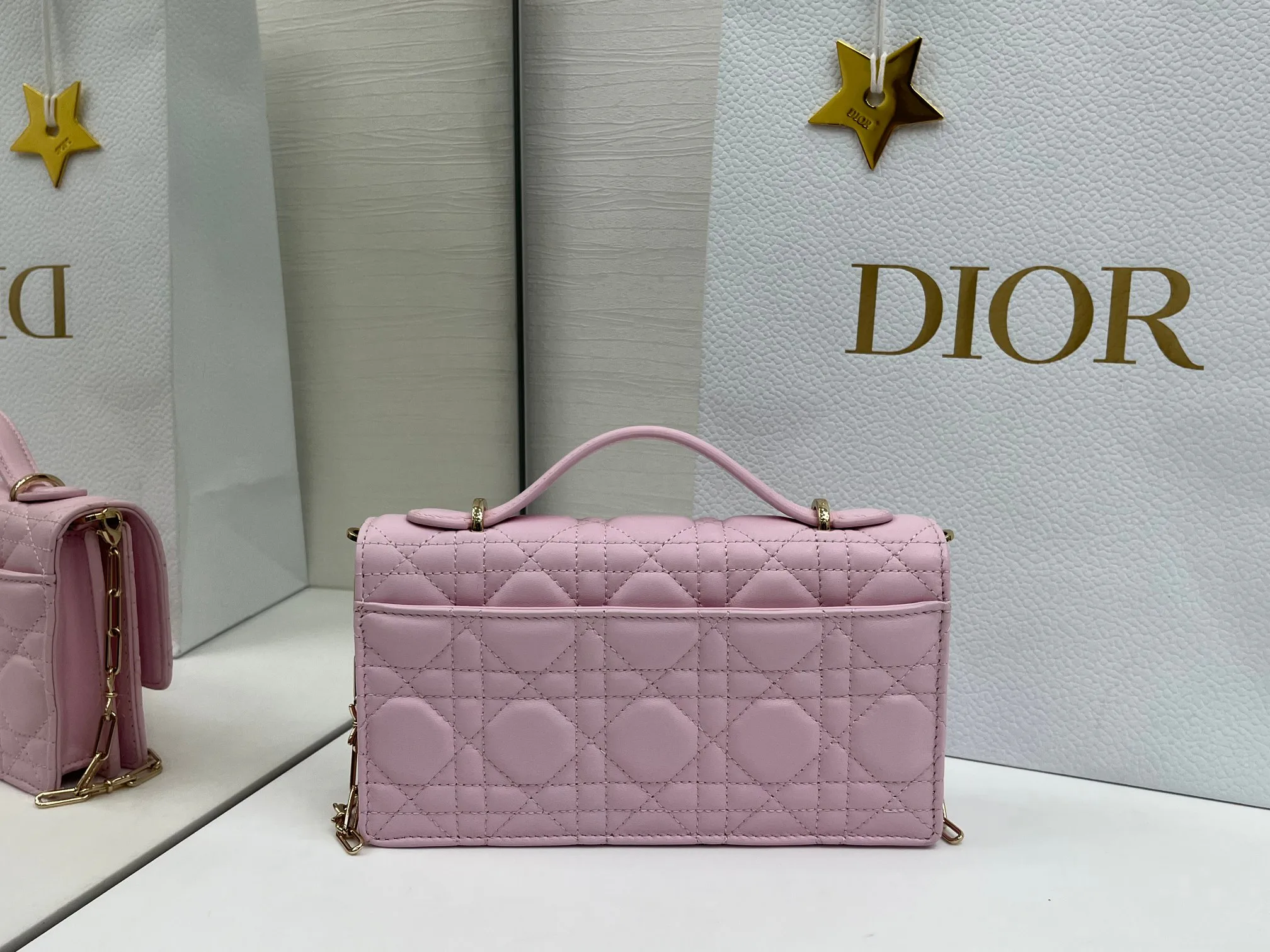 Классические Сумки Женские Christian Dior 11669067