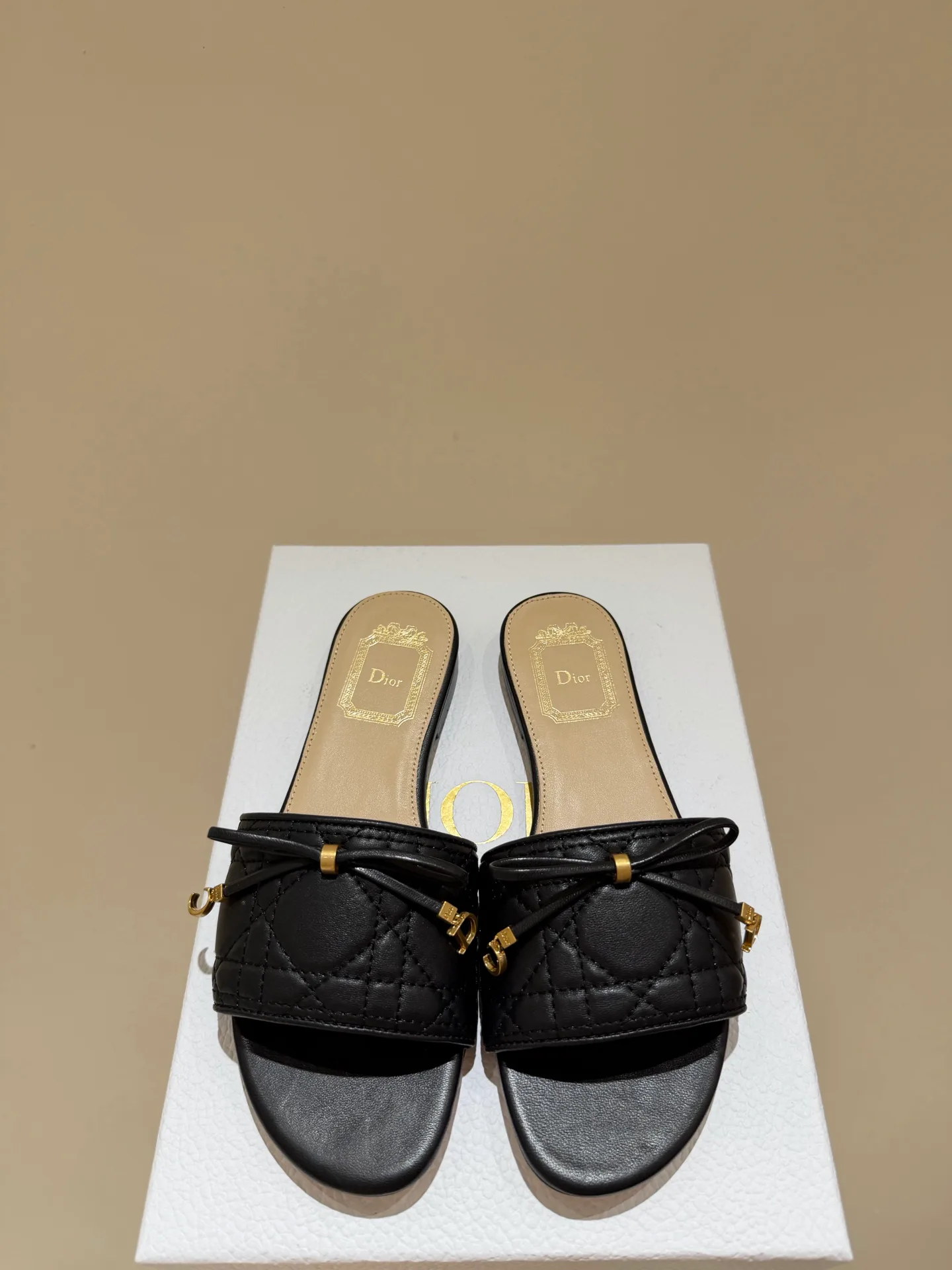 Шлепанцы Женские Christian Dior 13539515