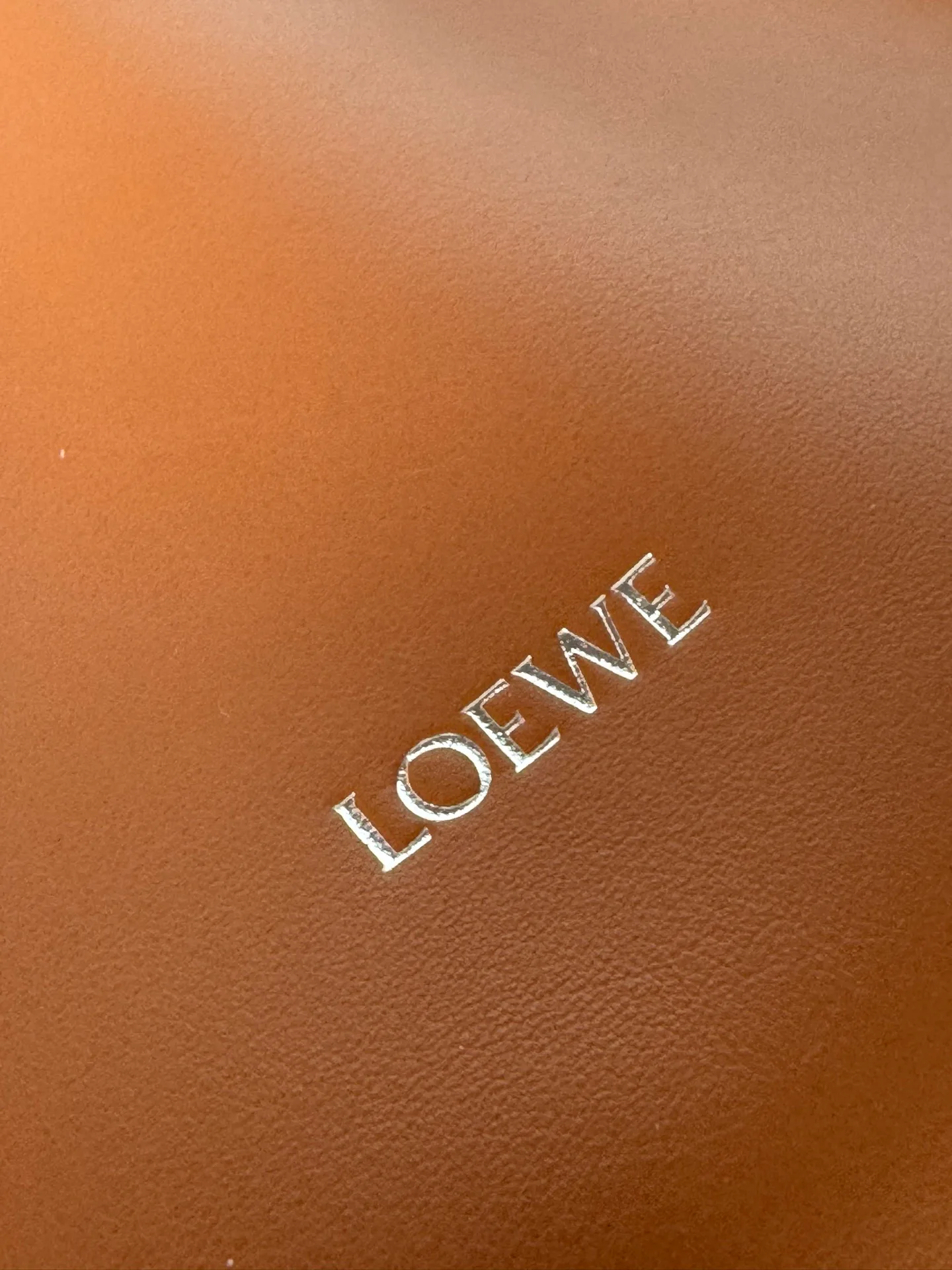 Сумки На Ремне Женские Loewe 961919