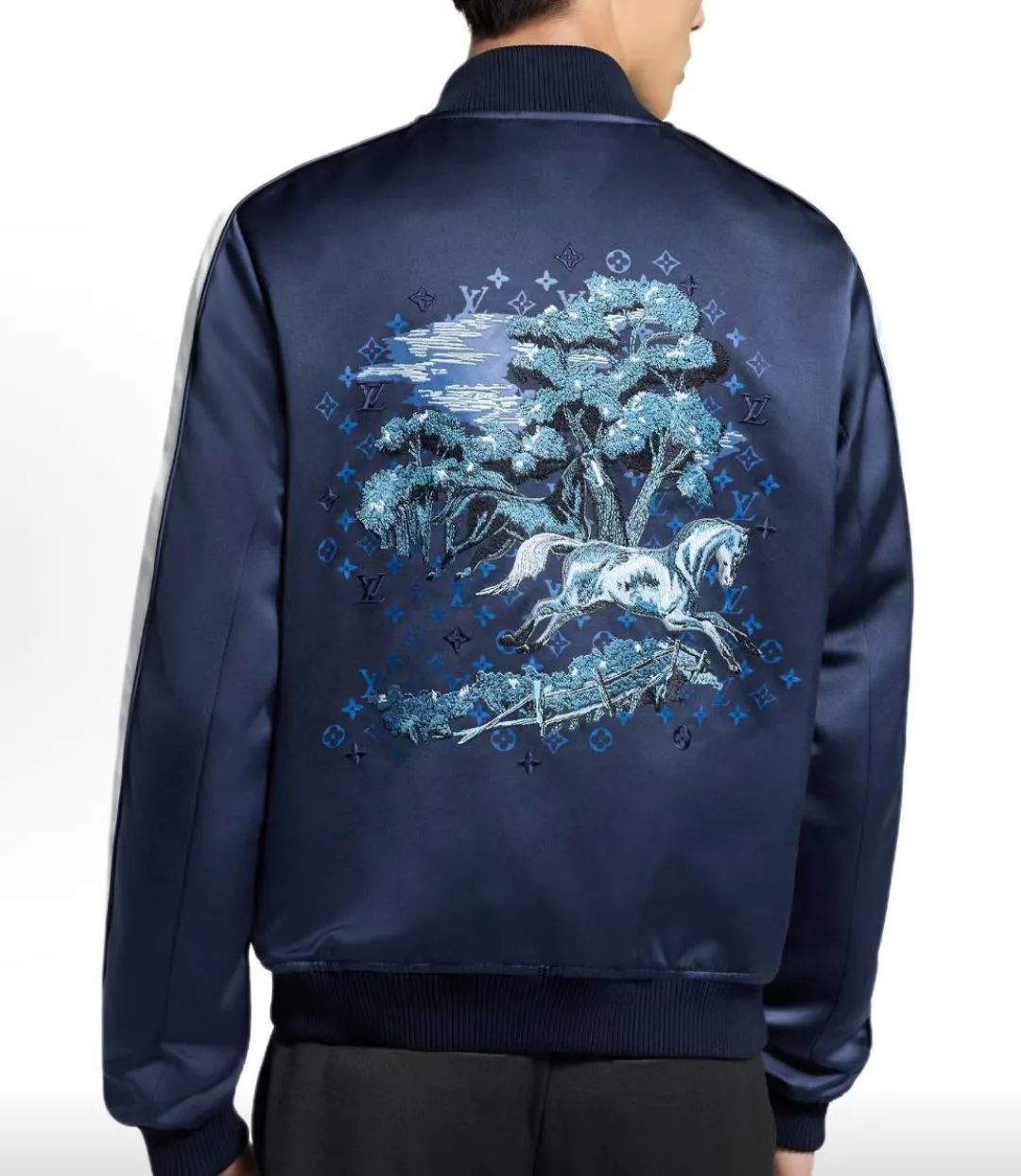 Куртки И Пуховики Мужские Louis Vuitton 3044085