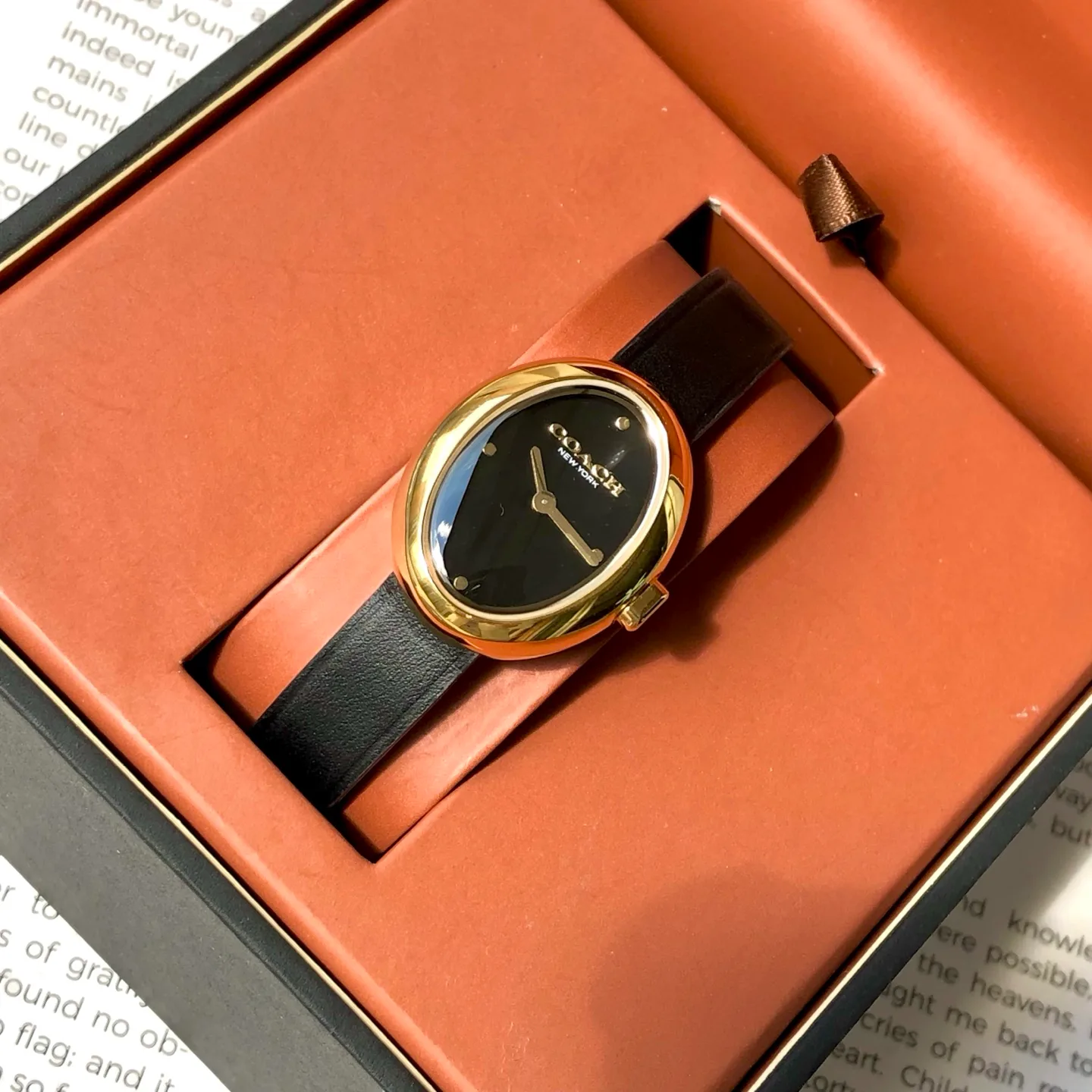 Часы Женские Coach 449051