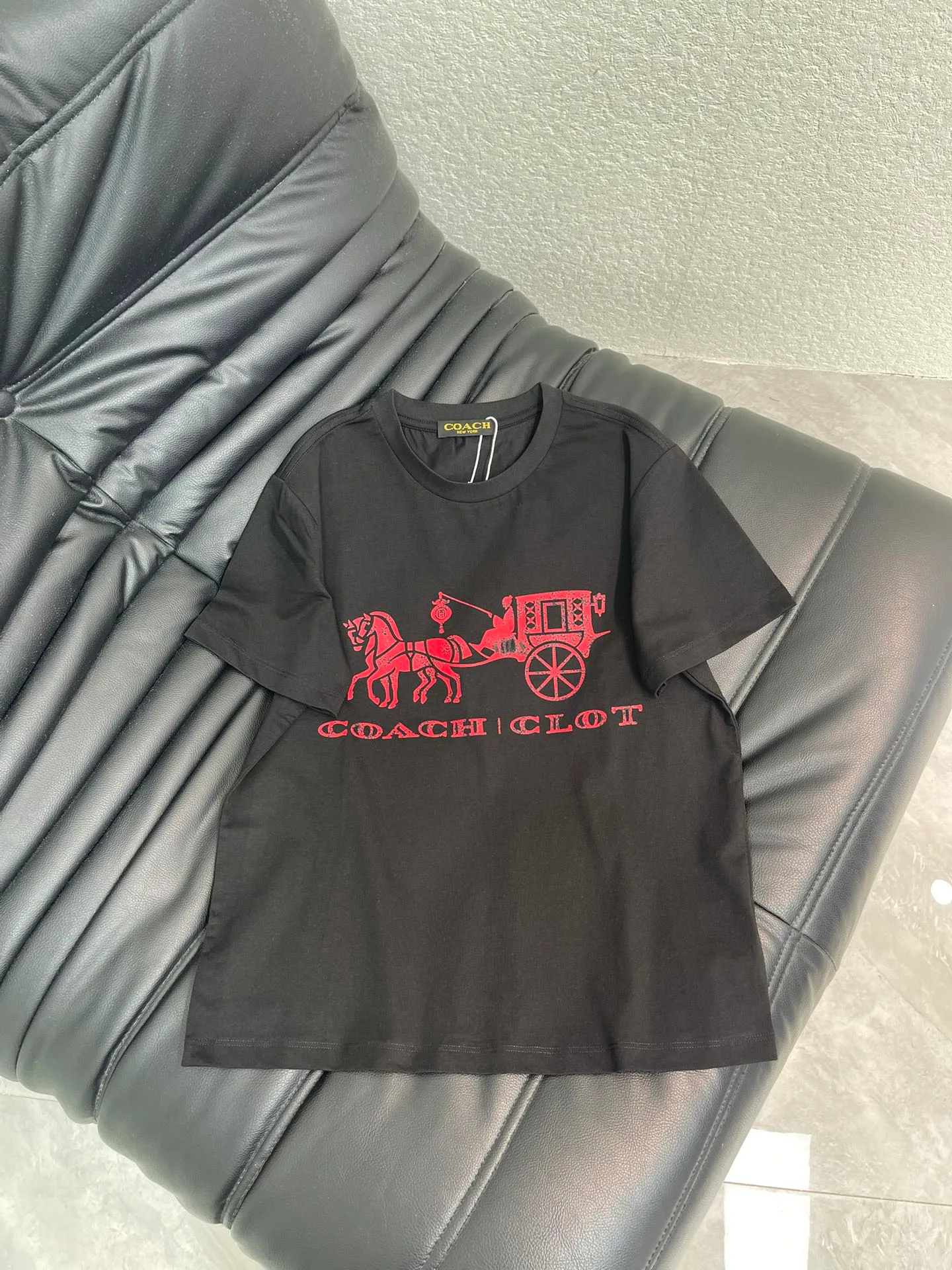 Футболки Женские Coach 10648275