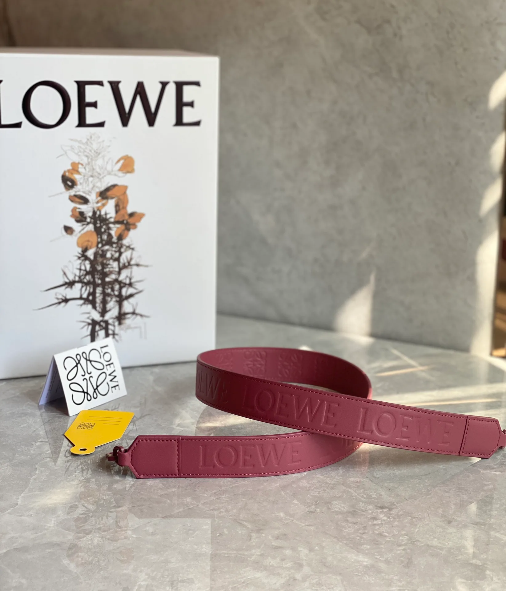 Классические Сумки Женские Loewe 10986849