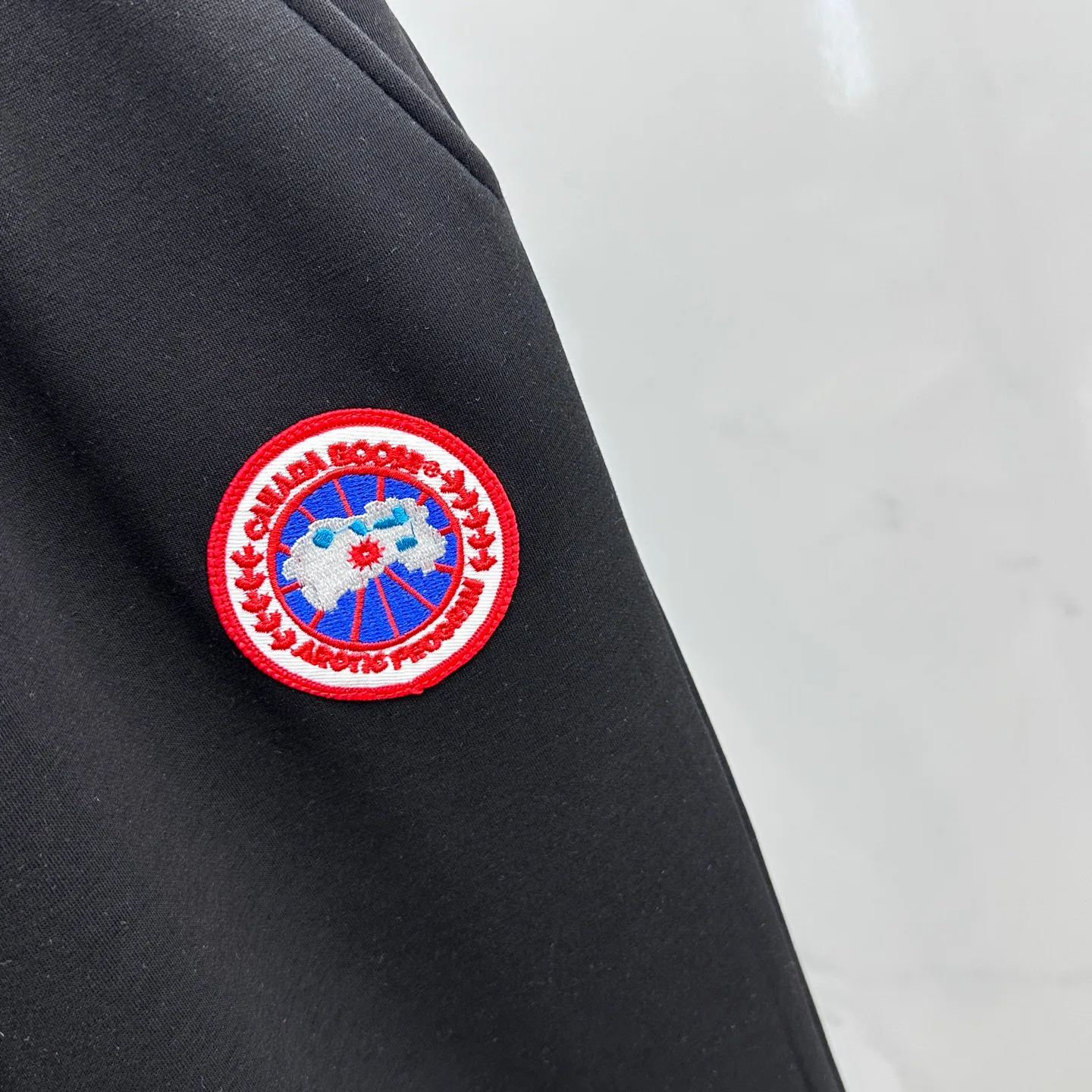 Брюки Мужские Canada Goose 18246687