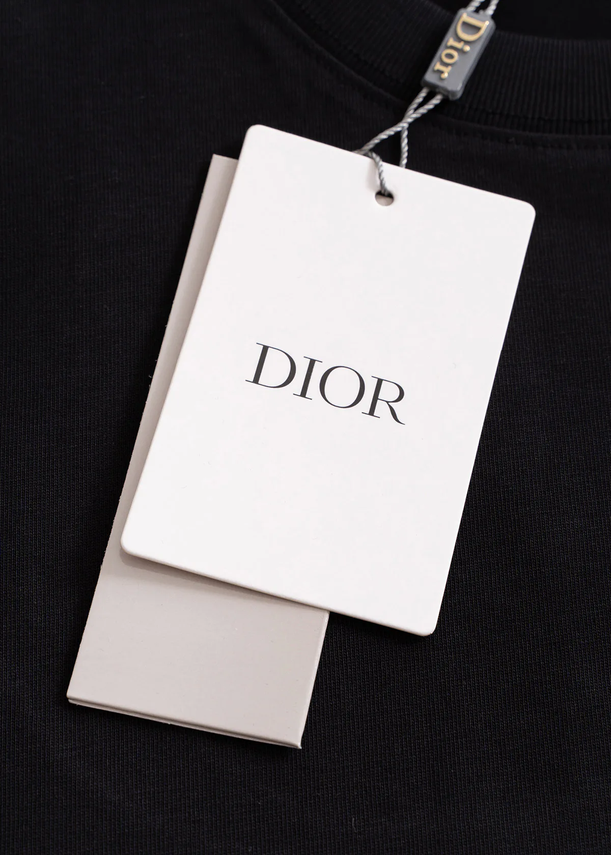 Футболки Мужские Christian Dior 9856547