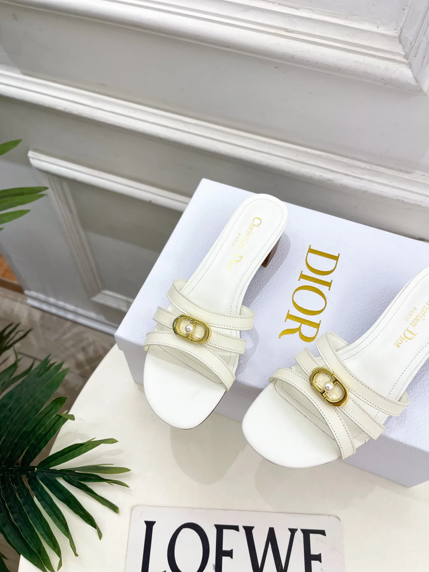 Туфли Женские Christian Dior 12601456