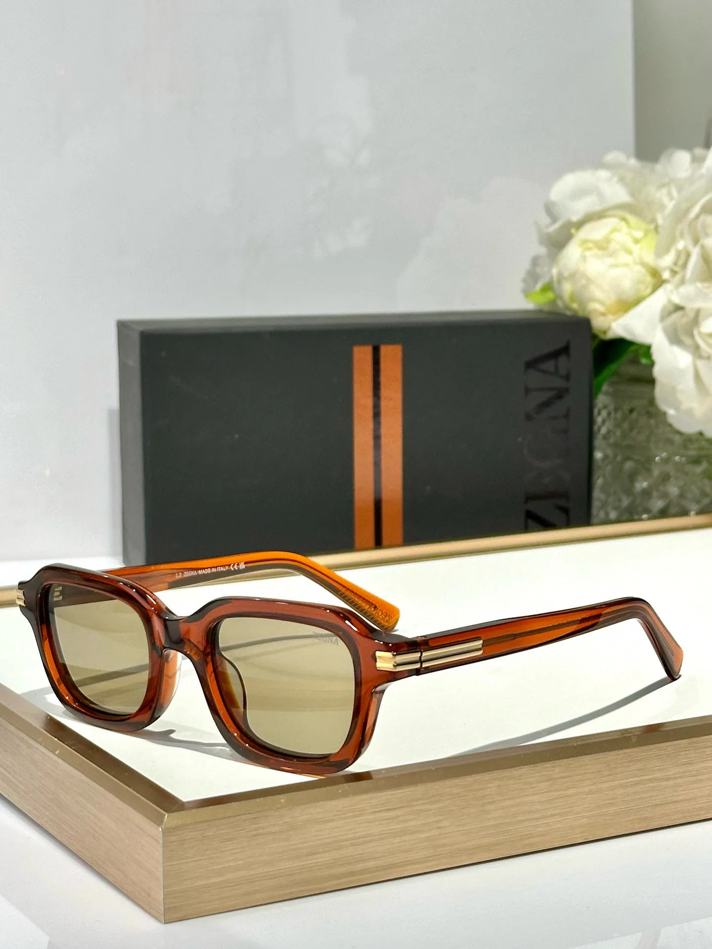 Очки Zegna 11187