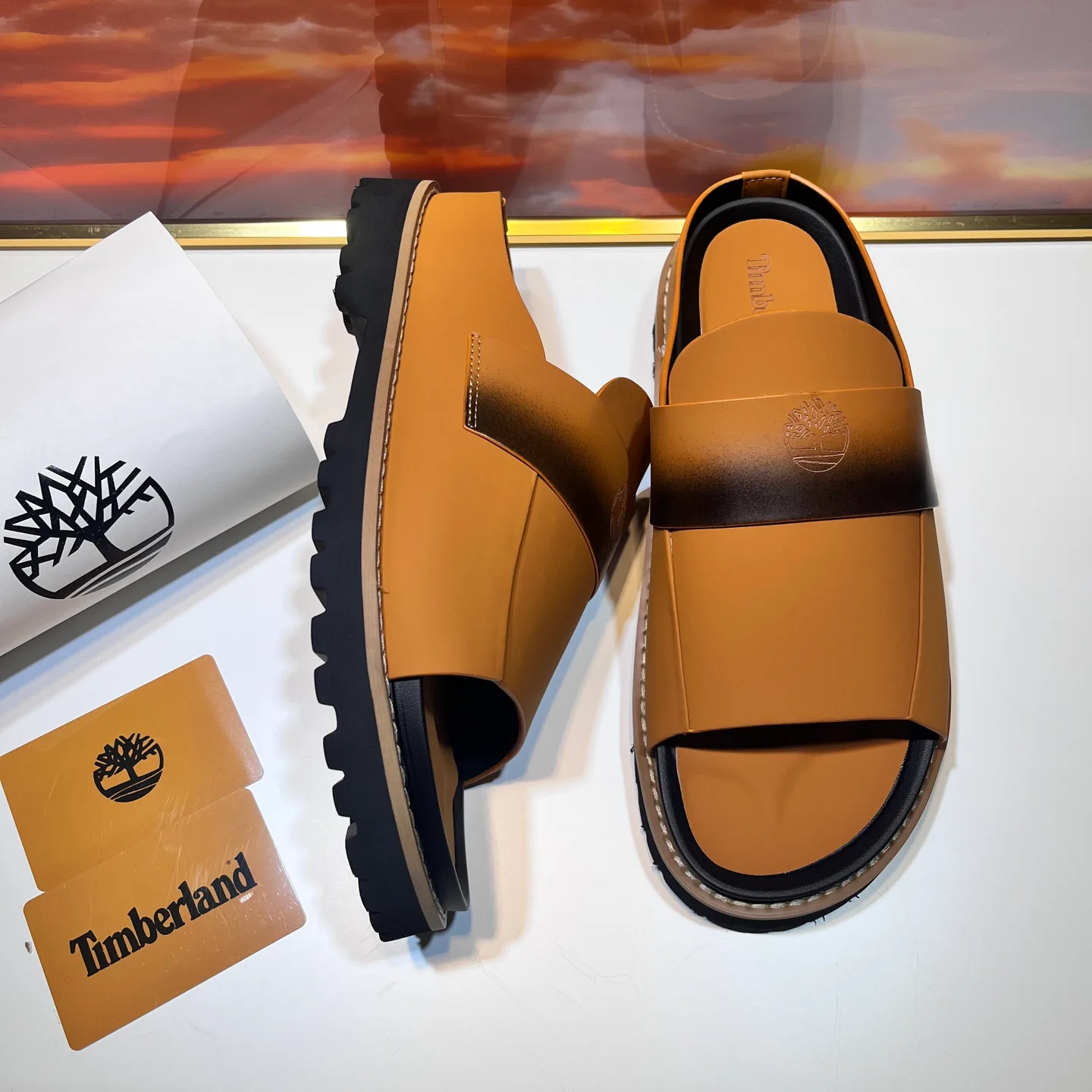 Шлепанцы Мужские Timberland 17955633