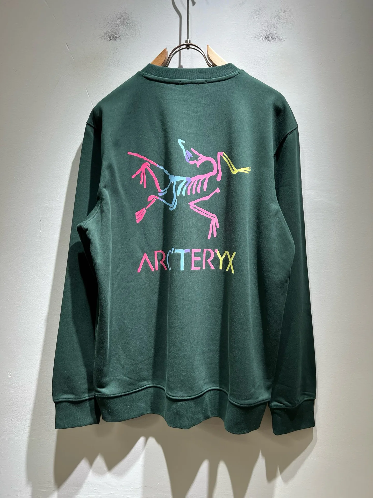 Свитшоты И Худи Мужские Arcteryx 18081227
