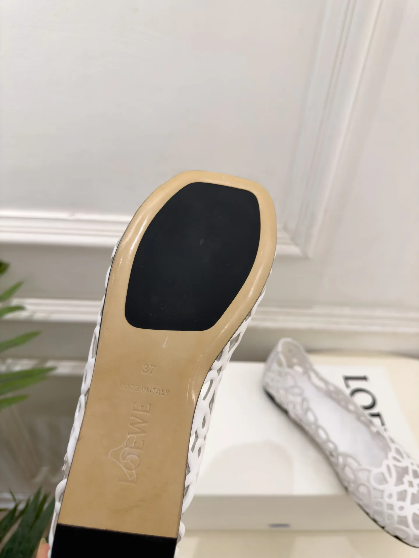 Балетки Женские Loewe 18198365