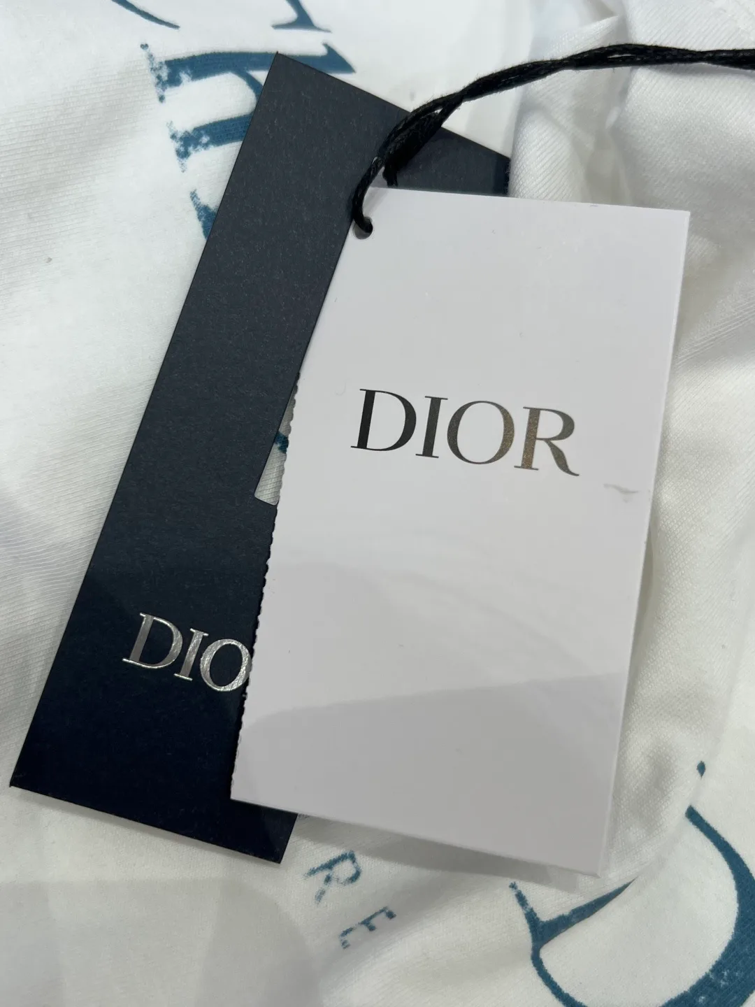 Футболки Мужские Christian Dior 13310876