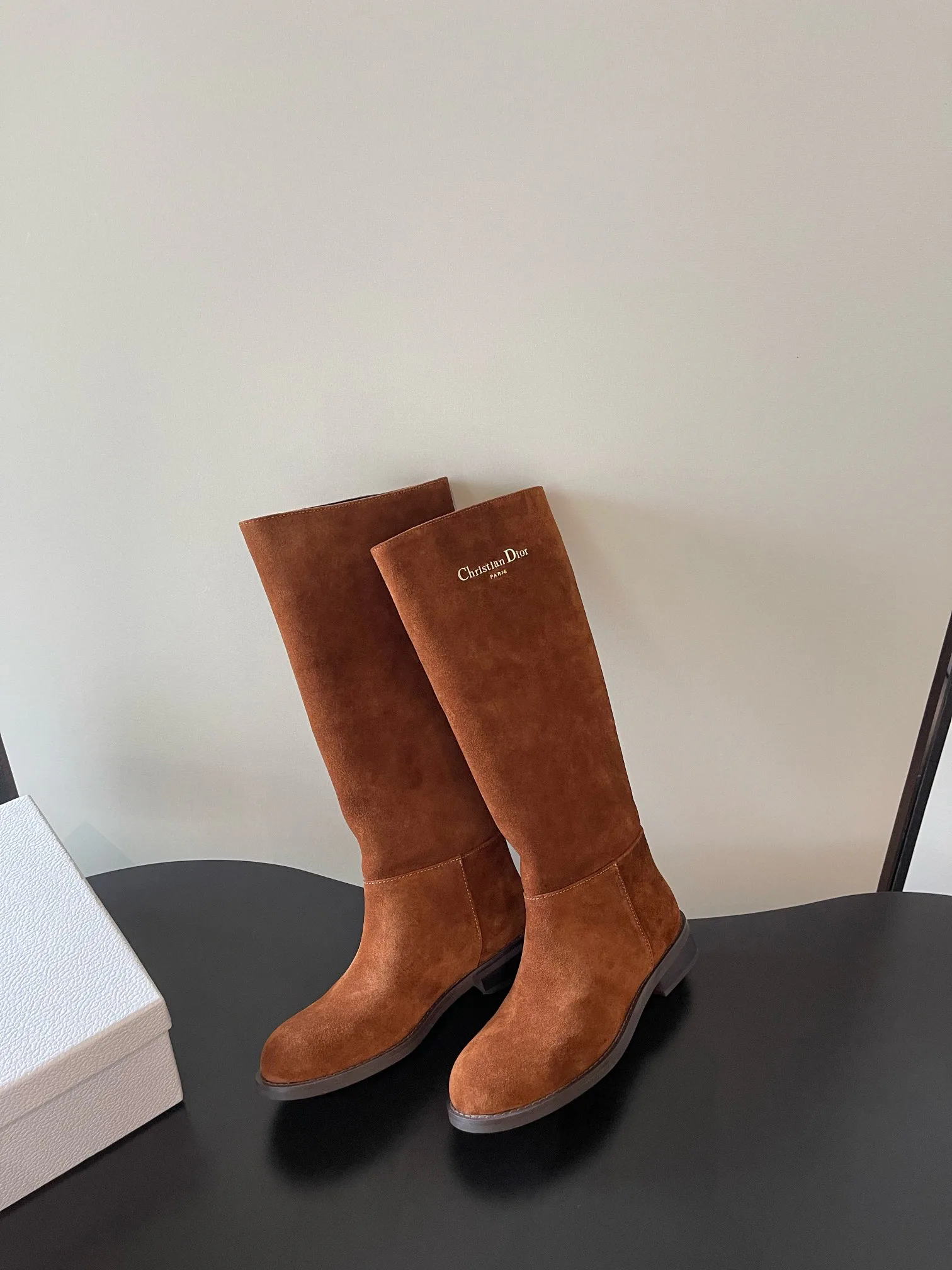Сапоги Женские Christian Dior 1523290