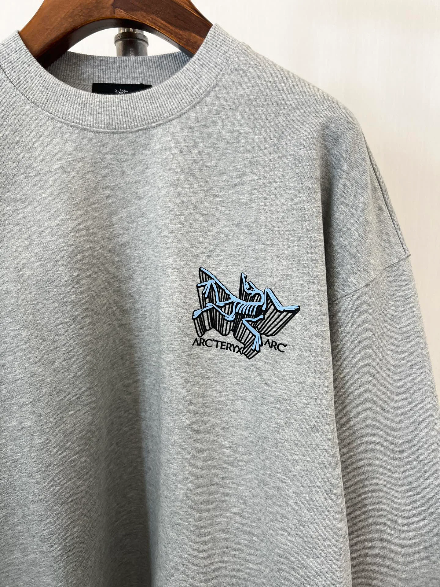 Свитшоты И Худи Мужские Arcteryx 18699486