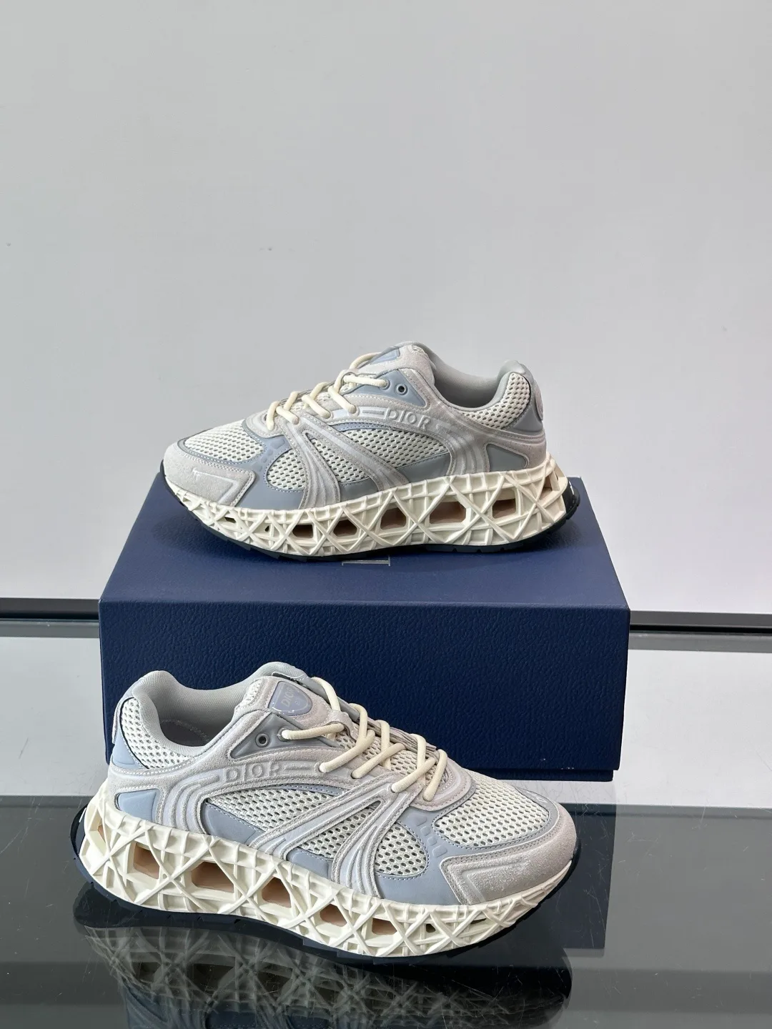 Кроссовки Женские Christian Dior 18102566