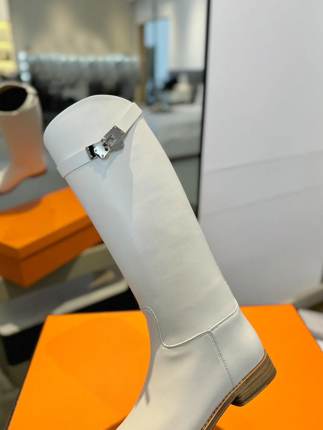 Сапоги Женские Hermes 18521252