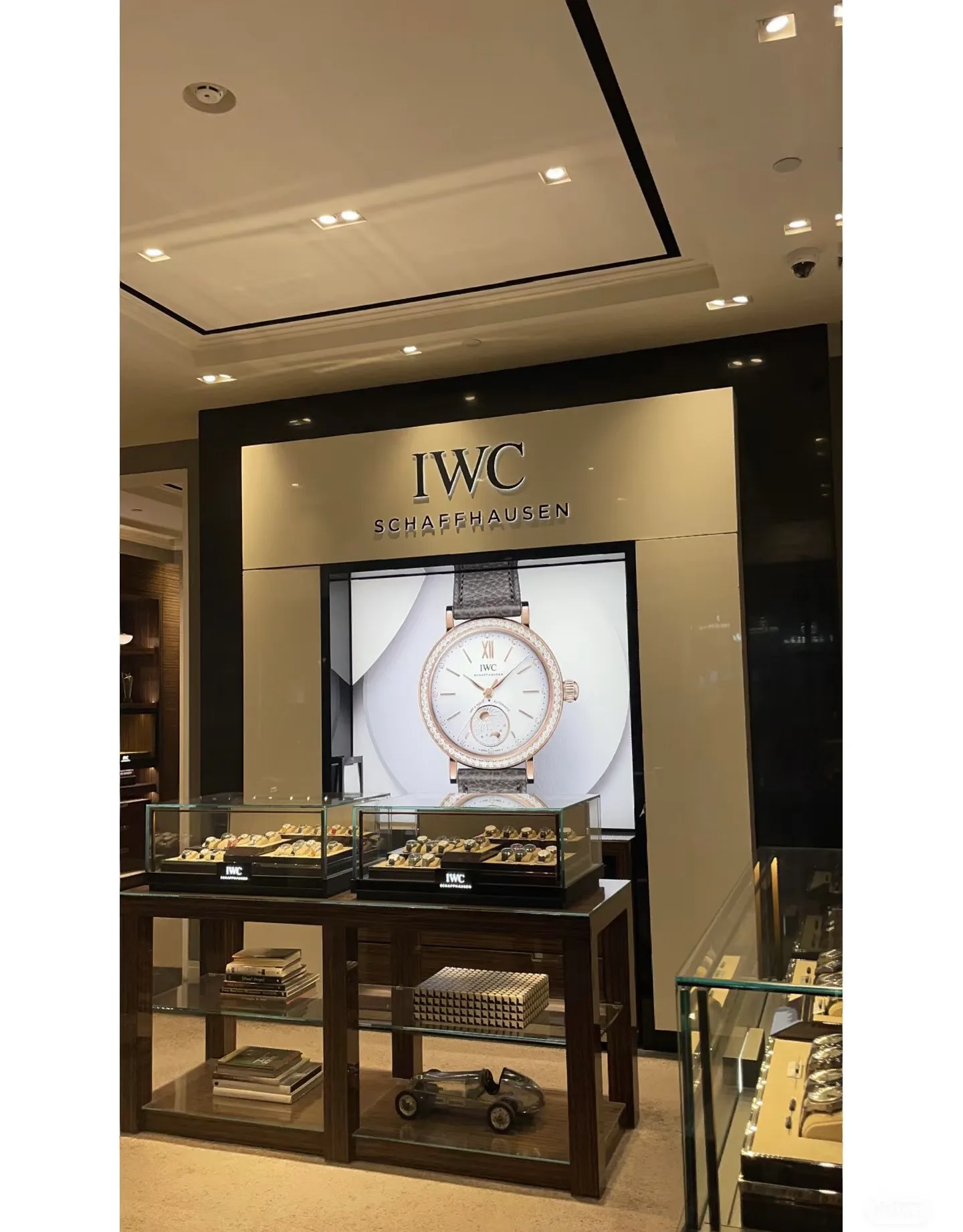 Часы Женские Iwc 1301493
