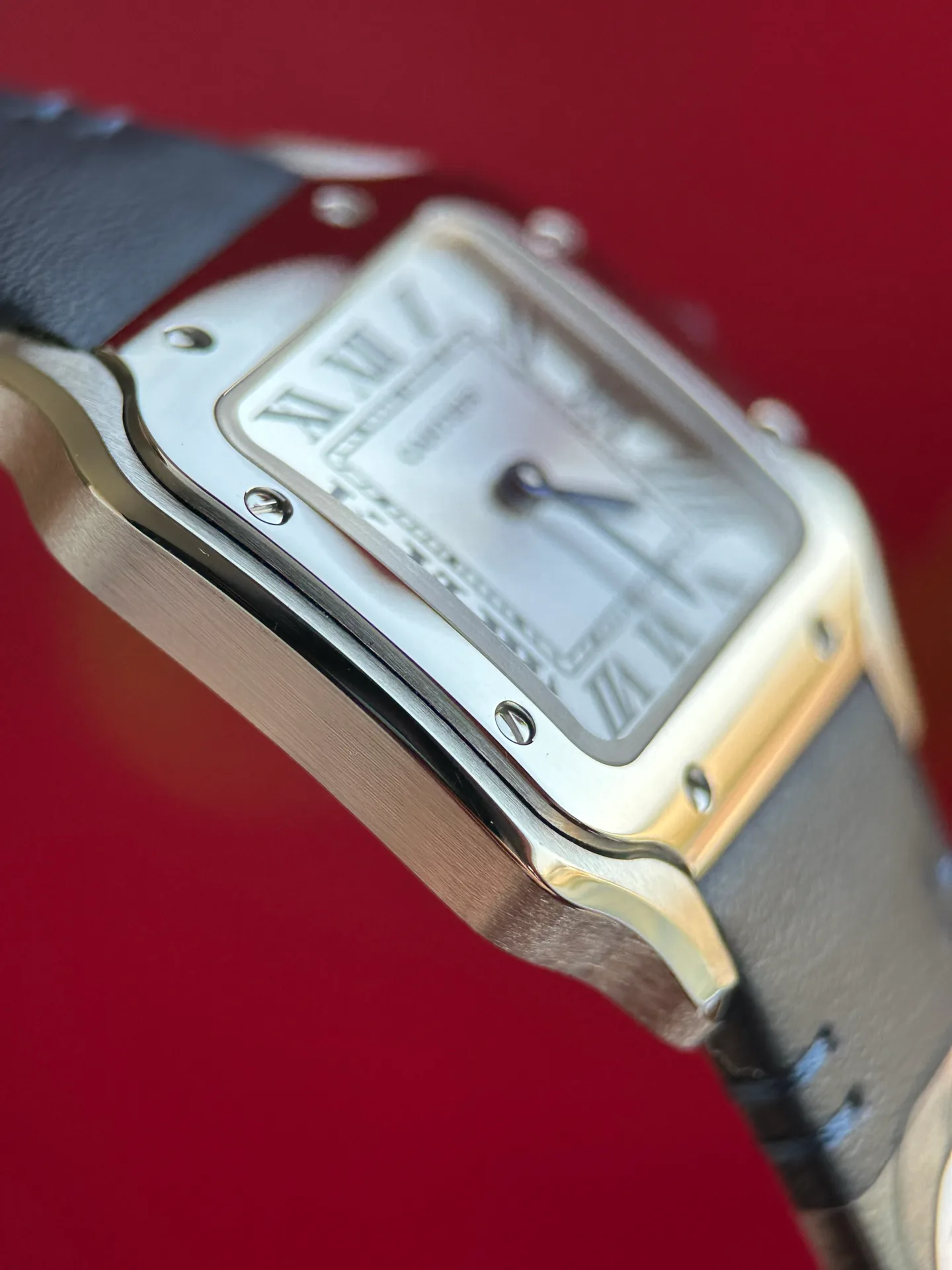 Часы Женские Cartier 11624328
