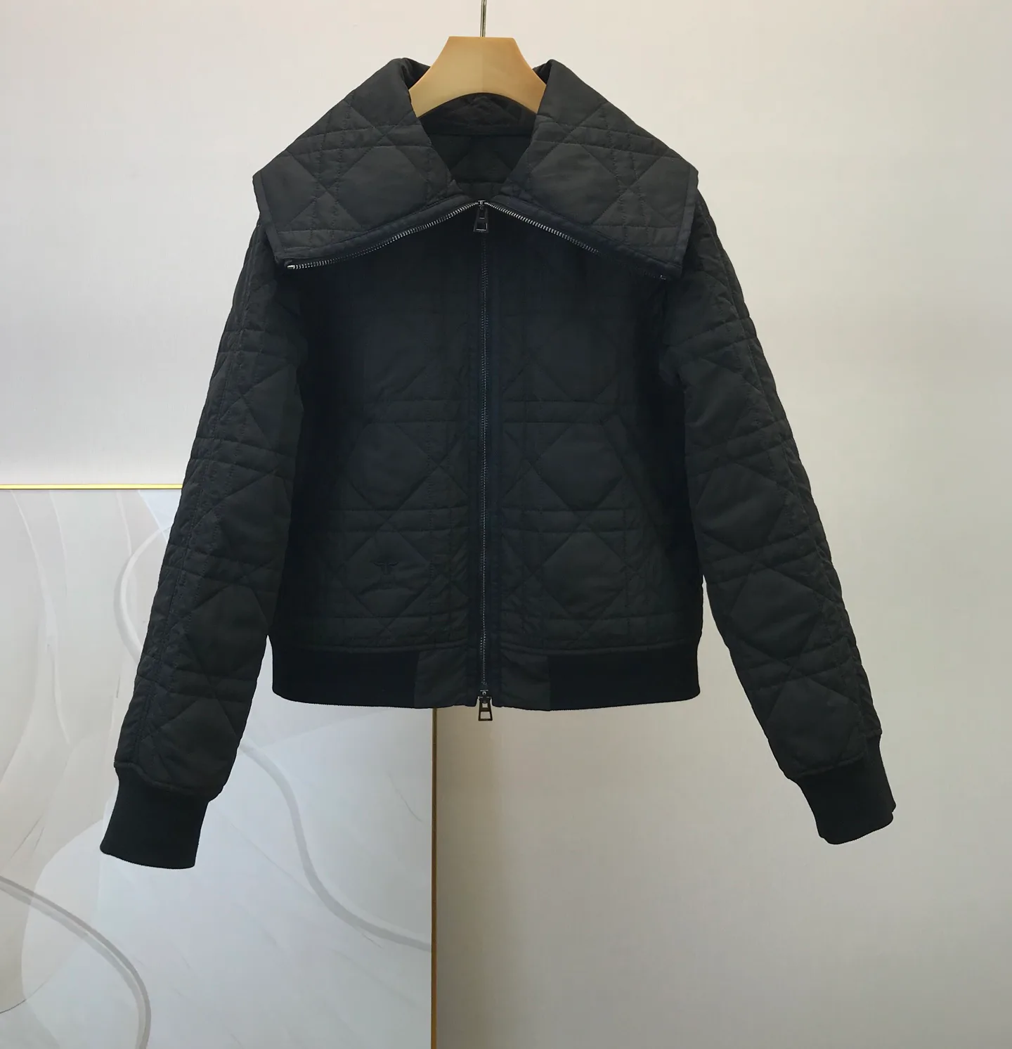 Куртки И Пуховики Женские Christian Dior 1453081