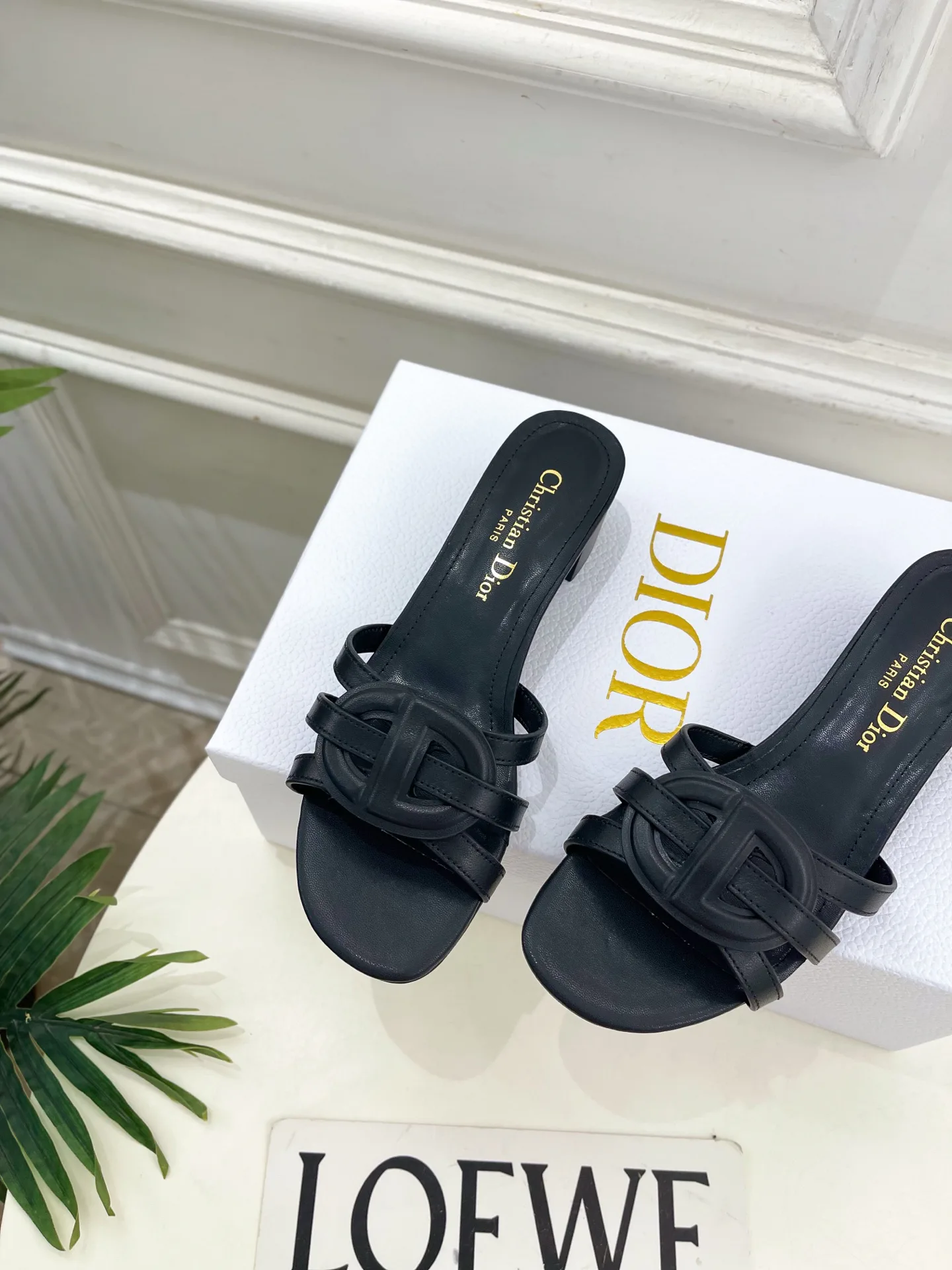 Туфли Женские Christian Dior 12601466