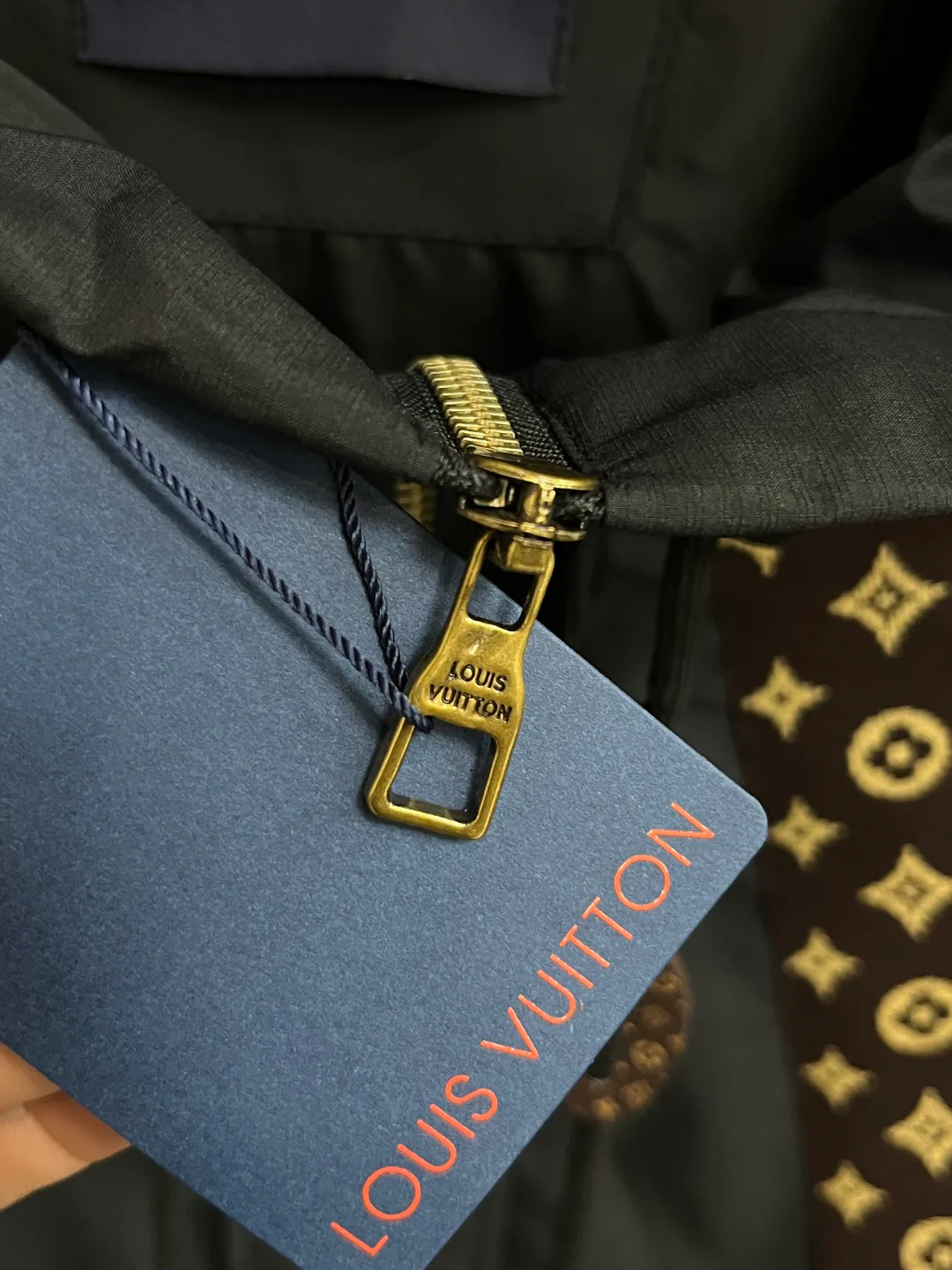 Куртки И Пуховики Мужские Louis Vuitton 11000521