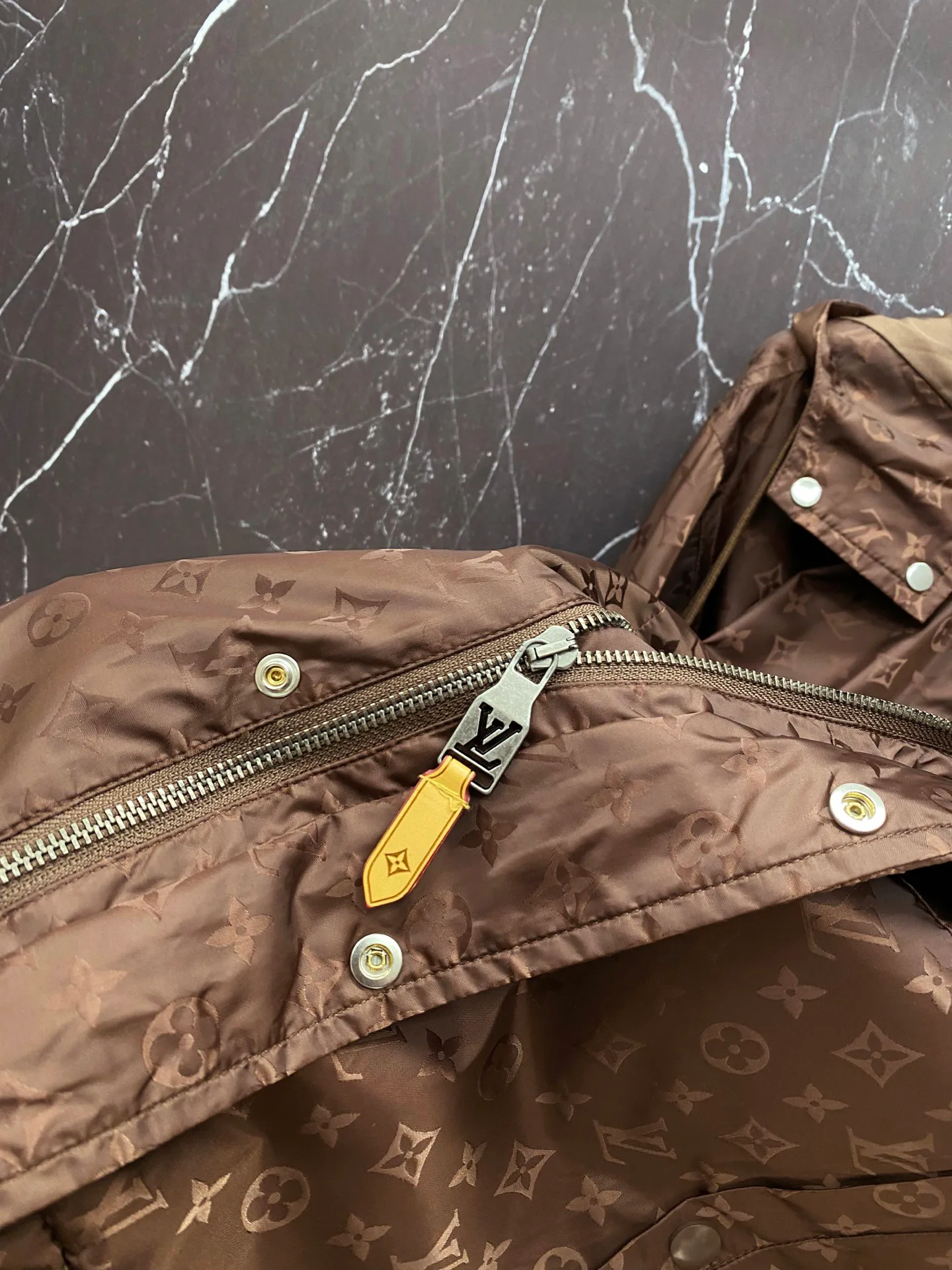 Куртки И Пуховики Мужские Louis Vuitton 10163428