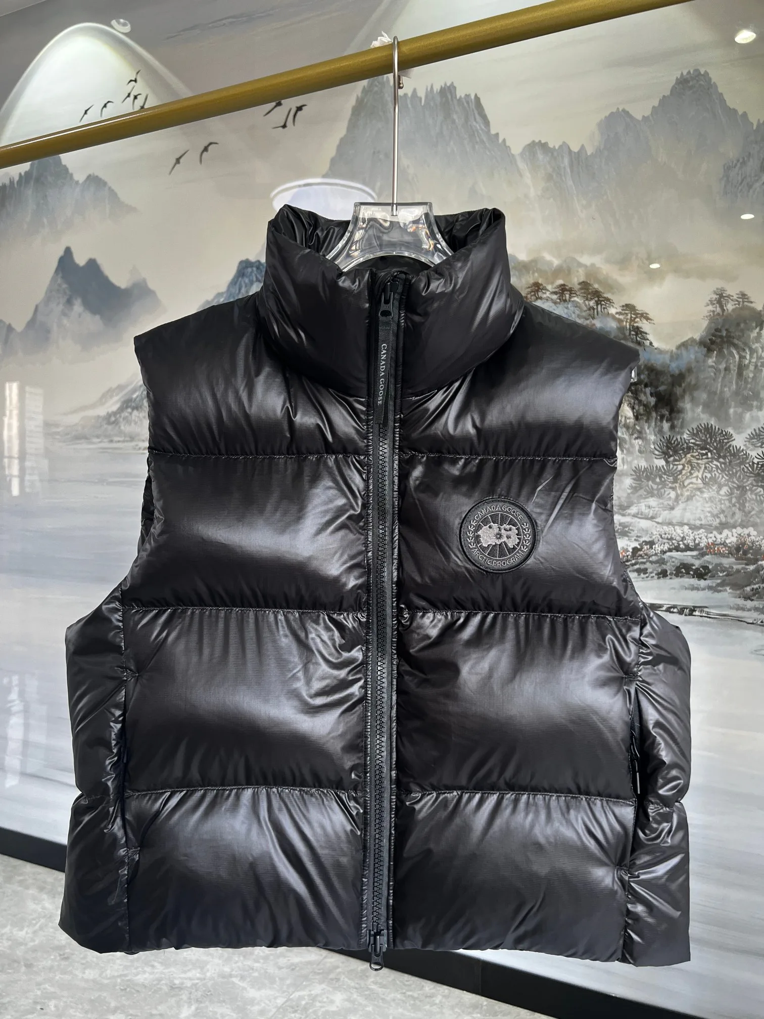 Жилеты Женские Canada Goose 2162191