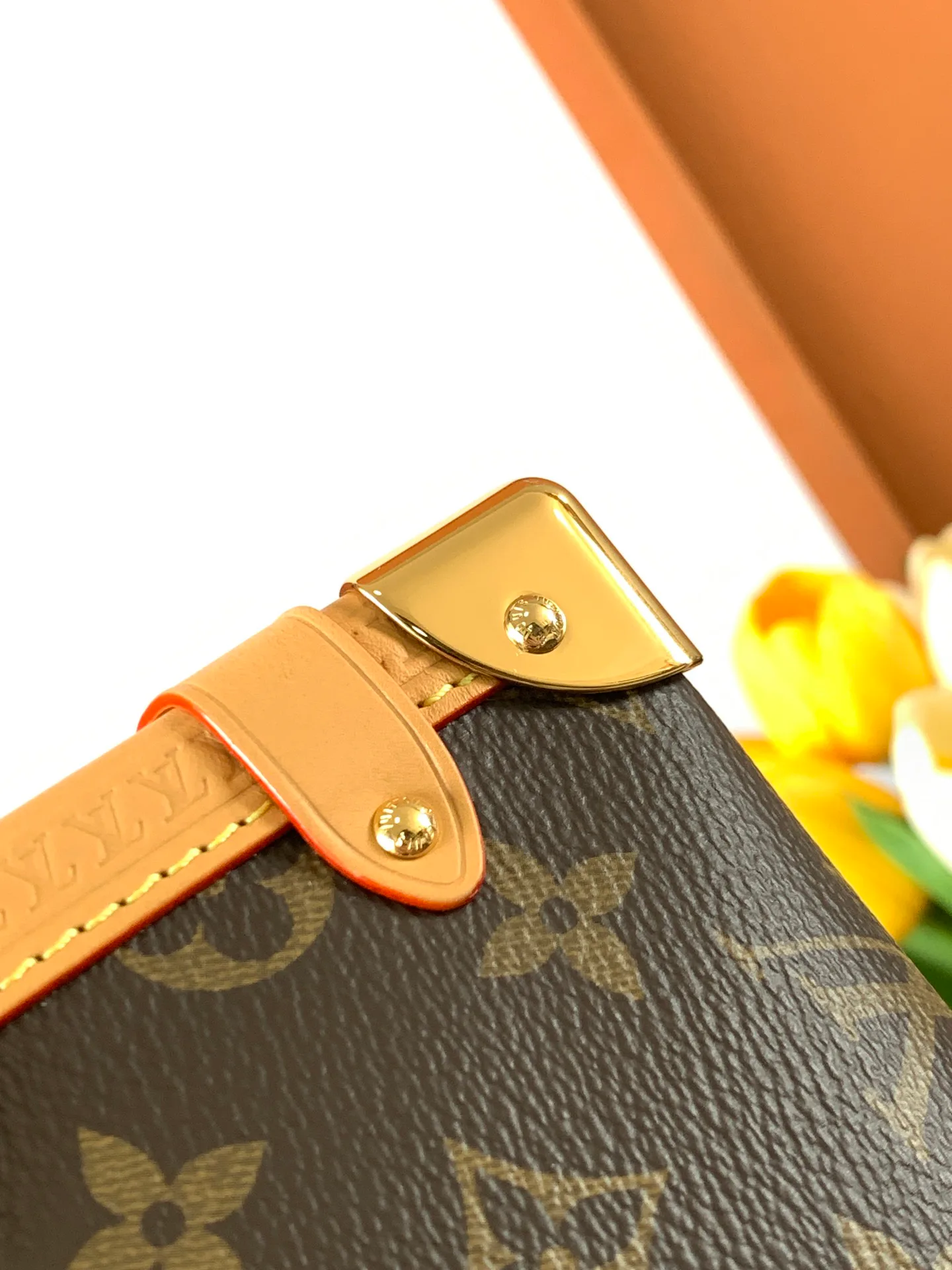 Классические Сумки Женские Louis Vuitton 13394400