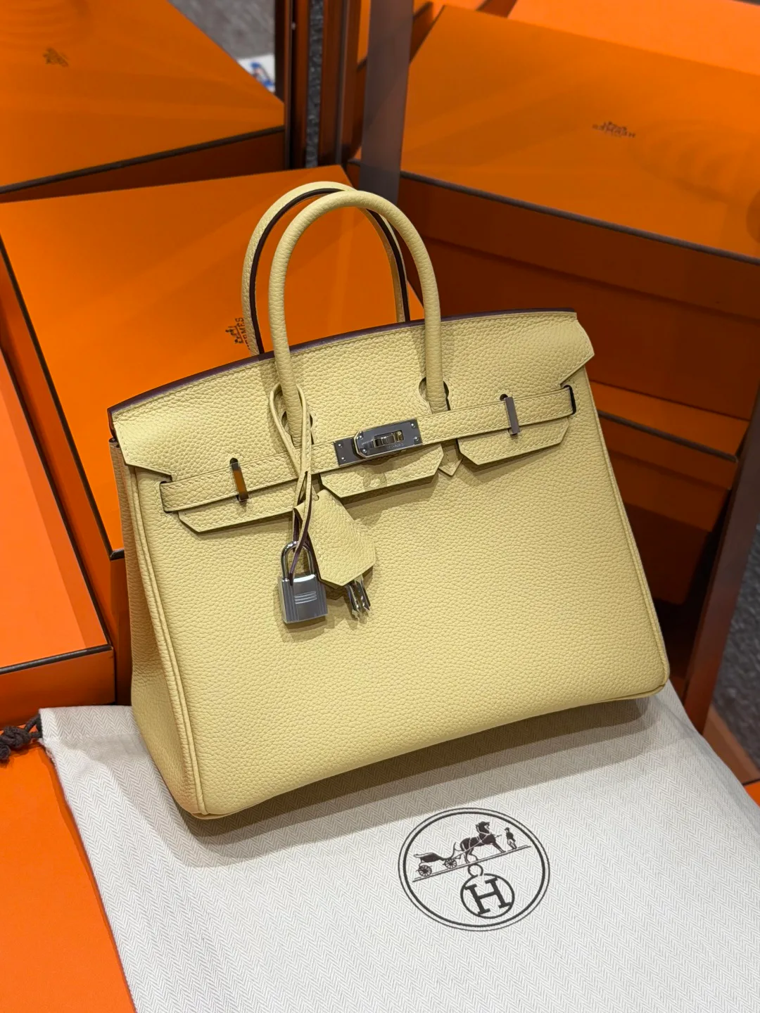 Классические Сумки Женские Hermes 11475324