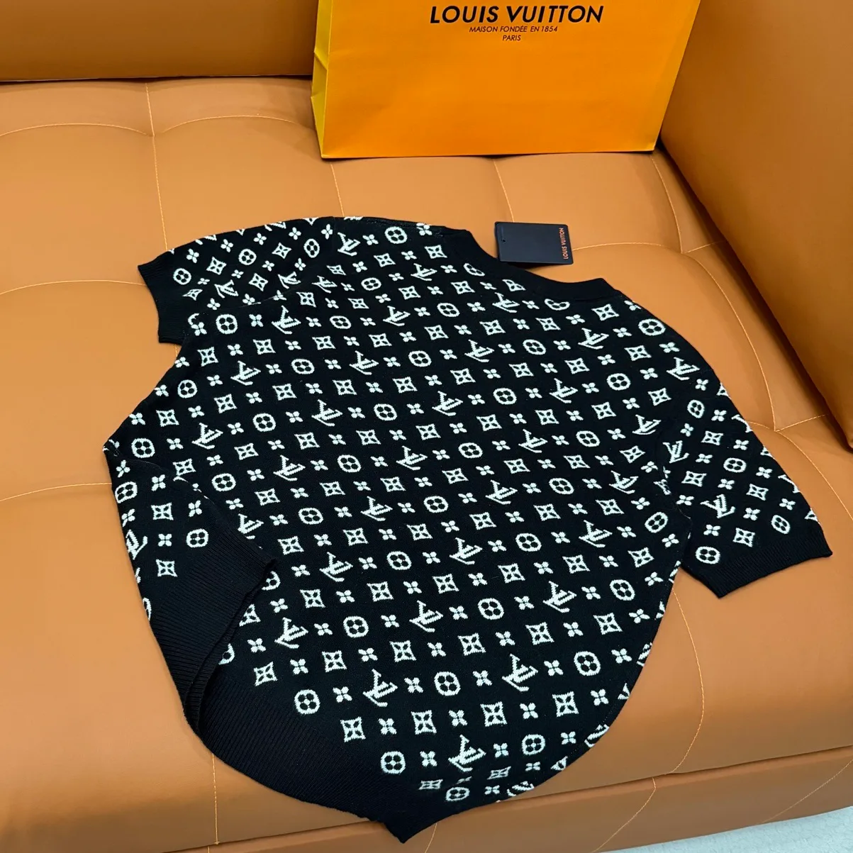 Футболки Женские Louis Vuitton 1163061