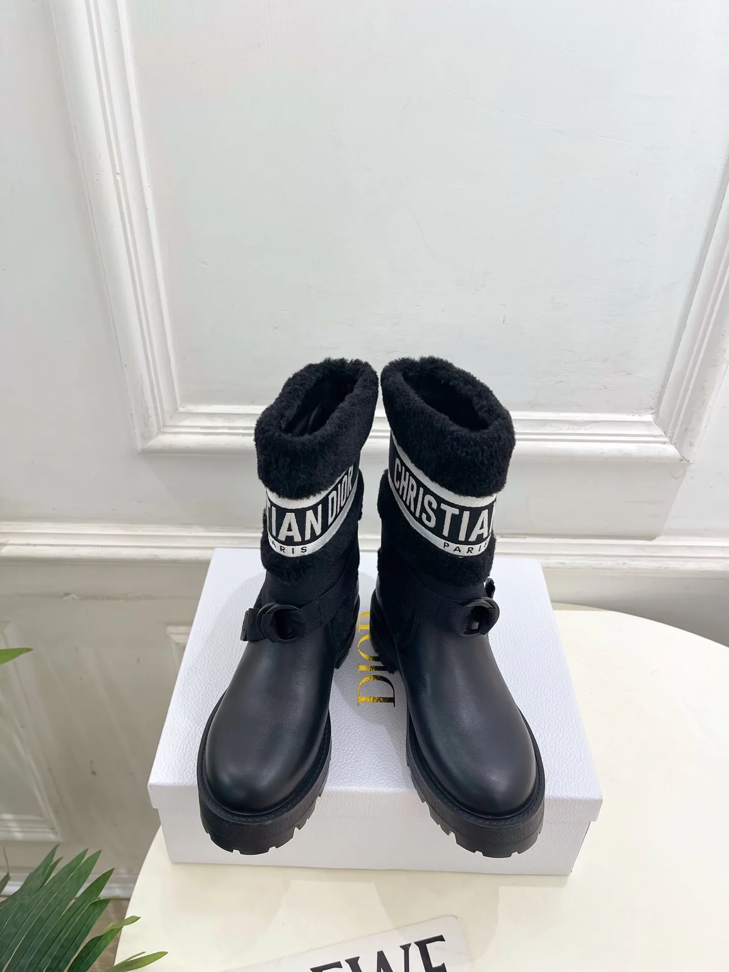 Ботинки Женские Christian Dior 528375