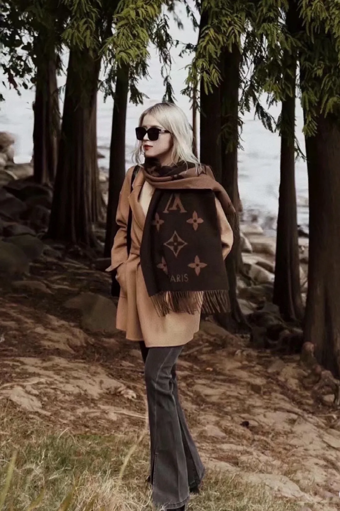 Шарфы Louis Vuitton 18141172