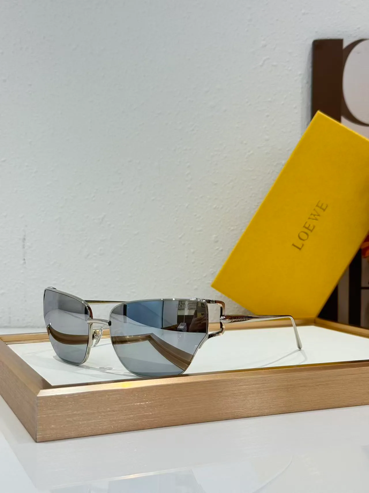 Очки Loewe 18226201