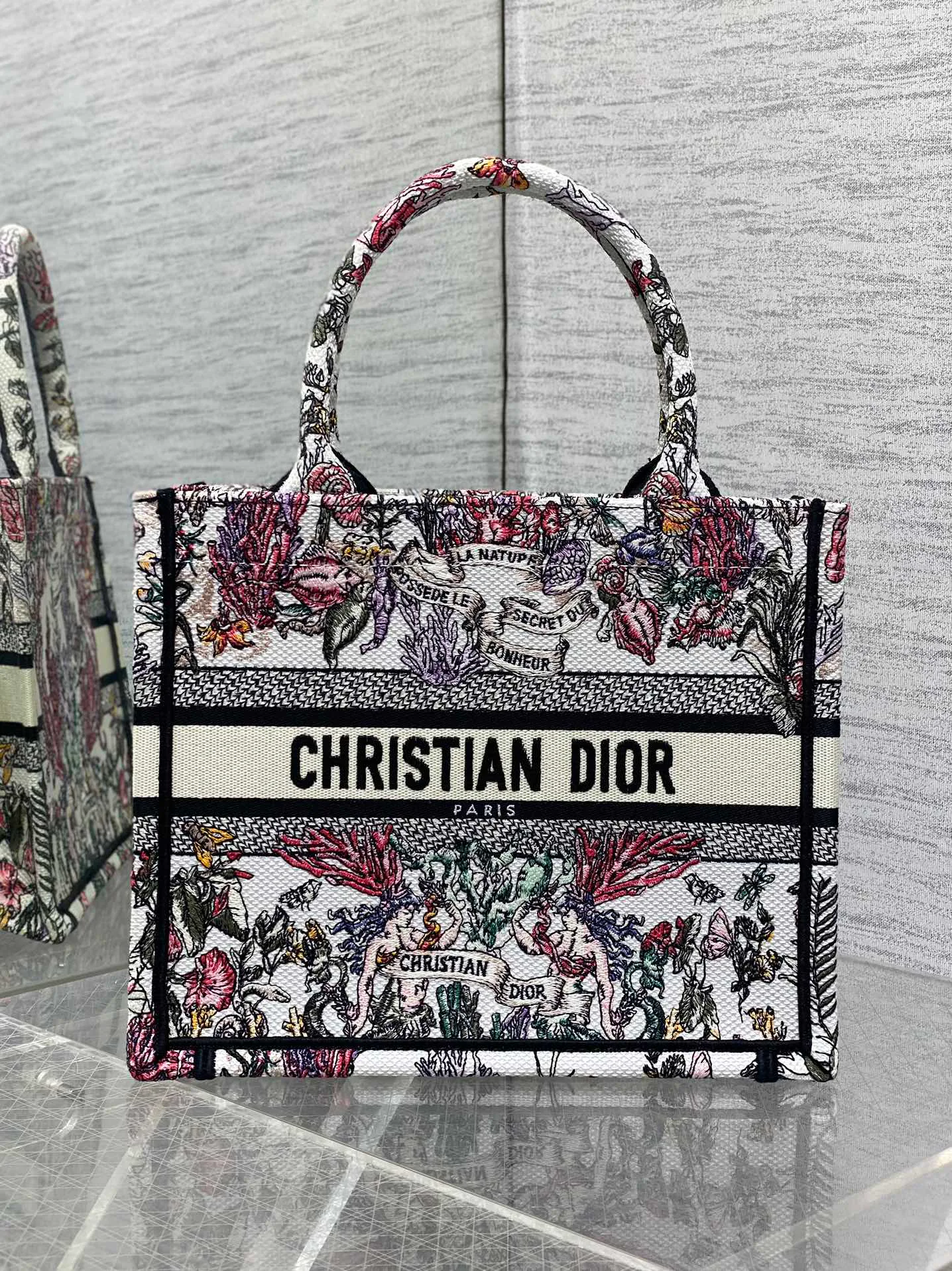 Классические Сумки Женские Christian Dior 13227214