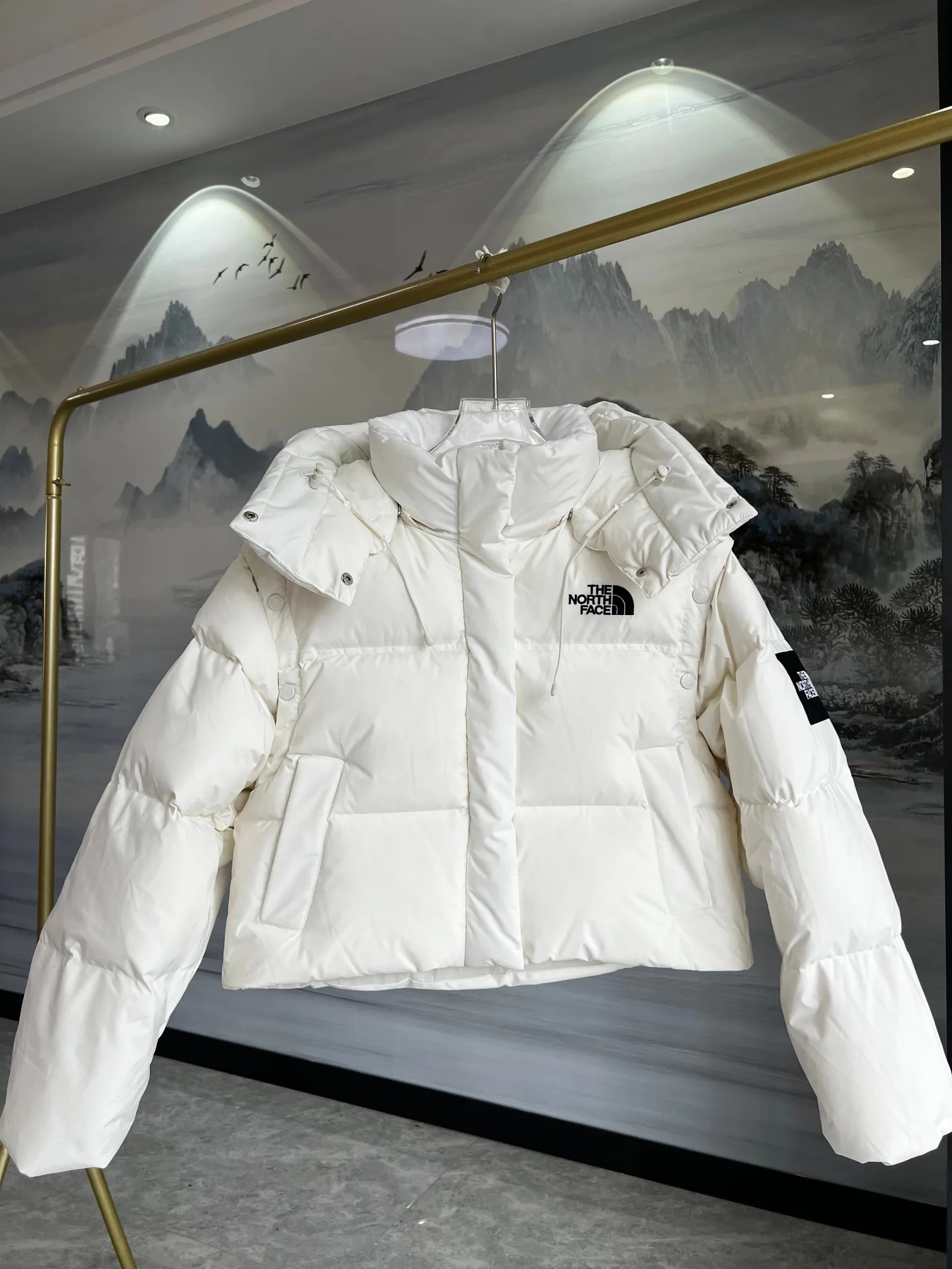 Куртки И Пуховики Женские The North Face 18415959