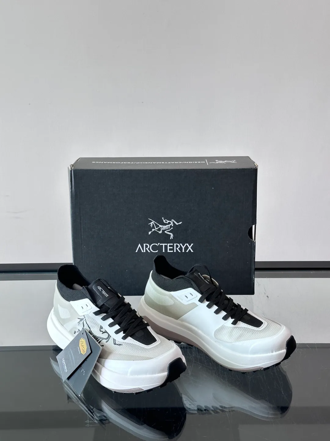 Кроссовки Мужские Arcteryx 17542411