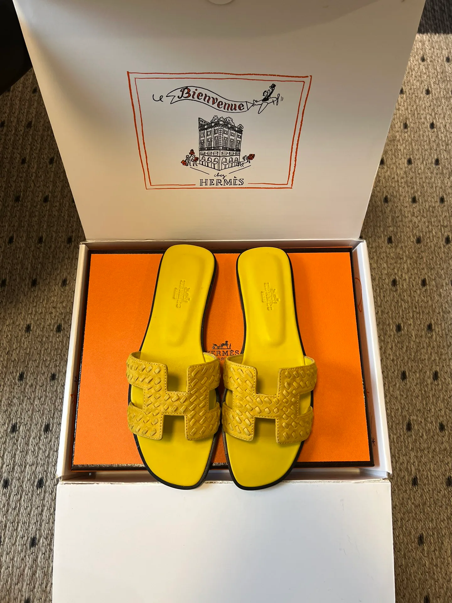 Шлепанцы Женские Hermes 10209526